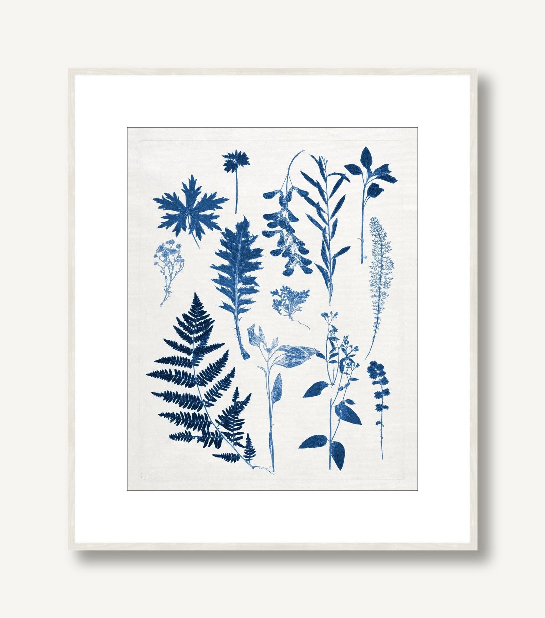 Blue Botanical Study 1 framed
