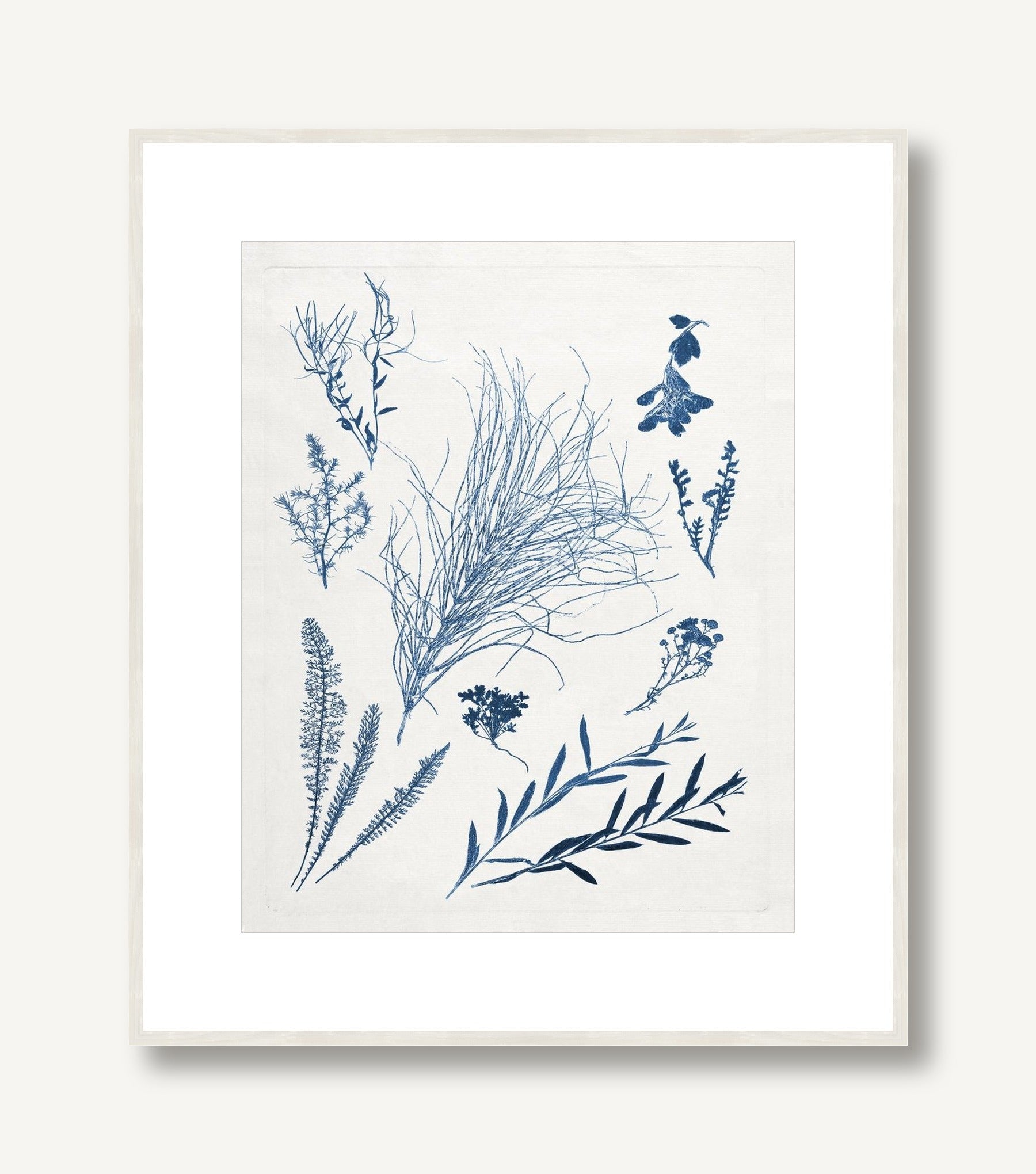 Blue Botanical Study 2 framed