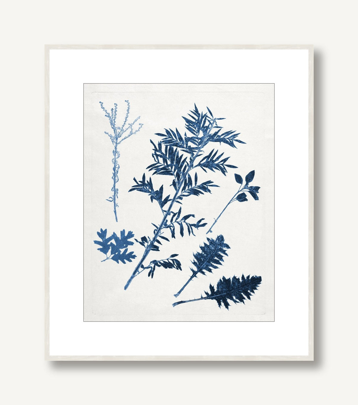 Blue Botanical Study 3 framed