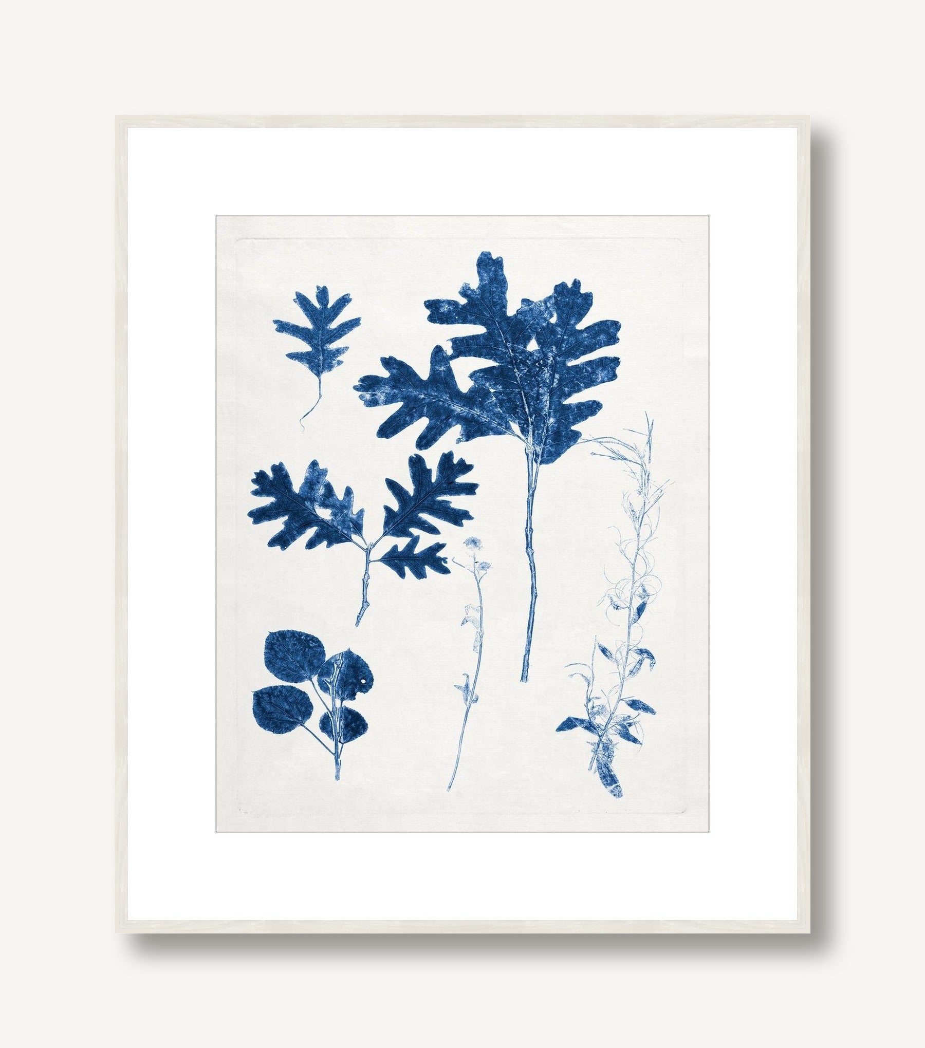 Blue Botanical Study 4 framed