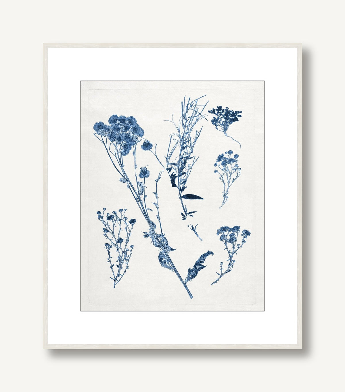 Blue Botanical Study 5 framed
