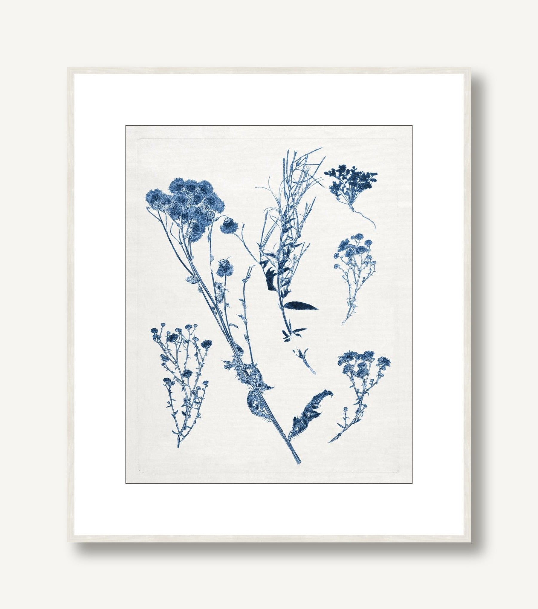 Blue Botanical Study 5 framed