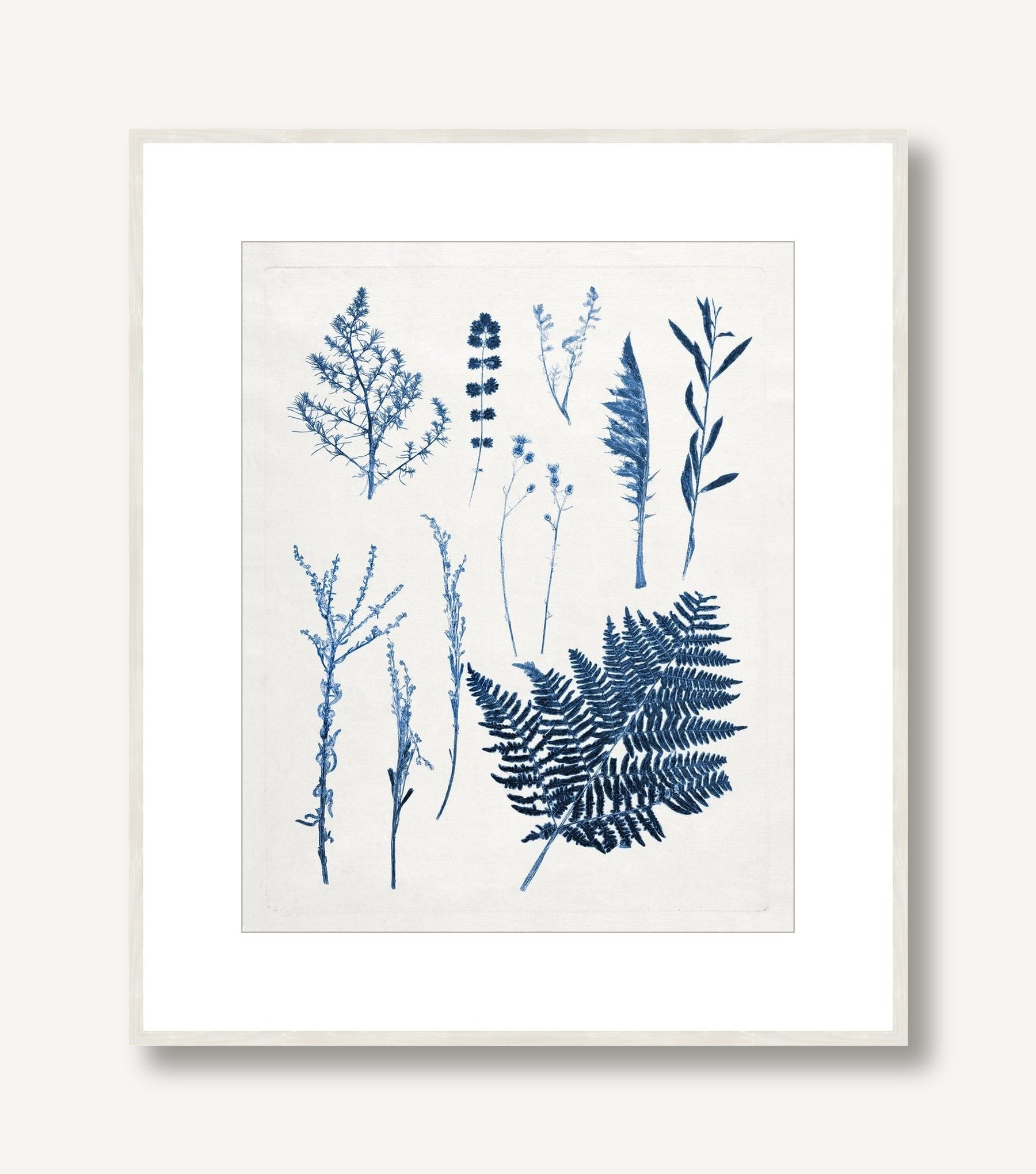 Blue Botanical Study 6 framed