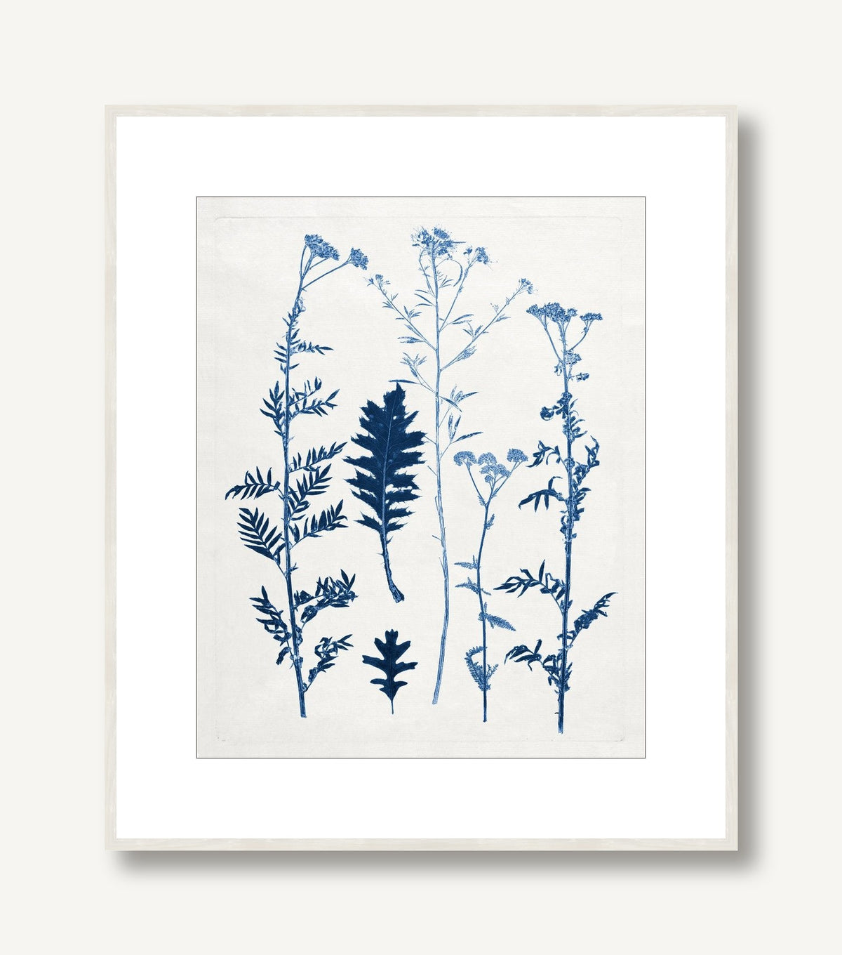 Blue Botanical Study 7 framed