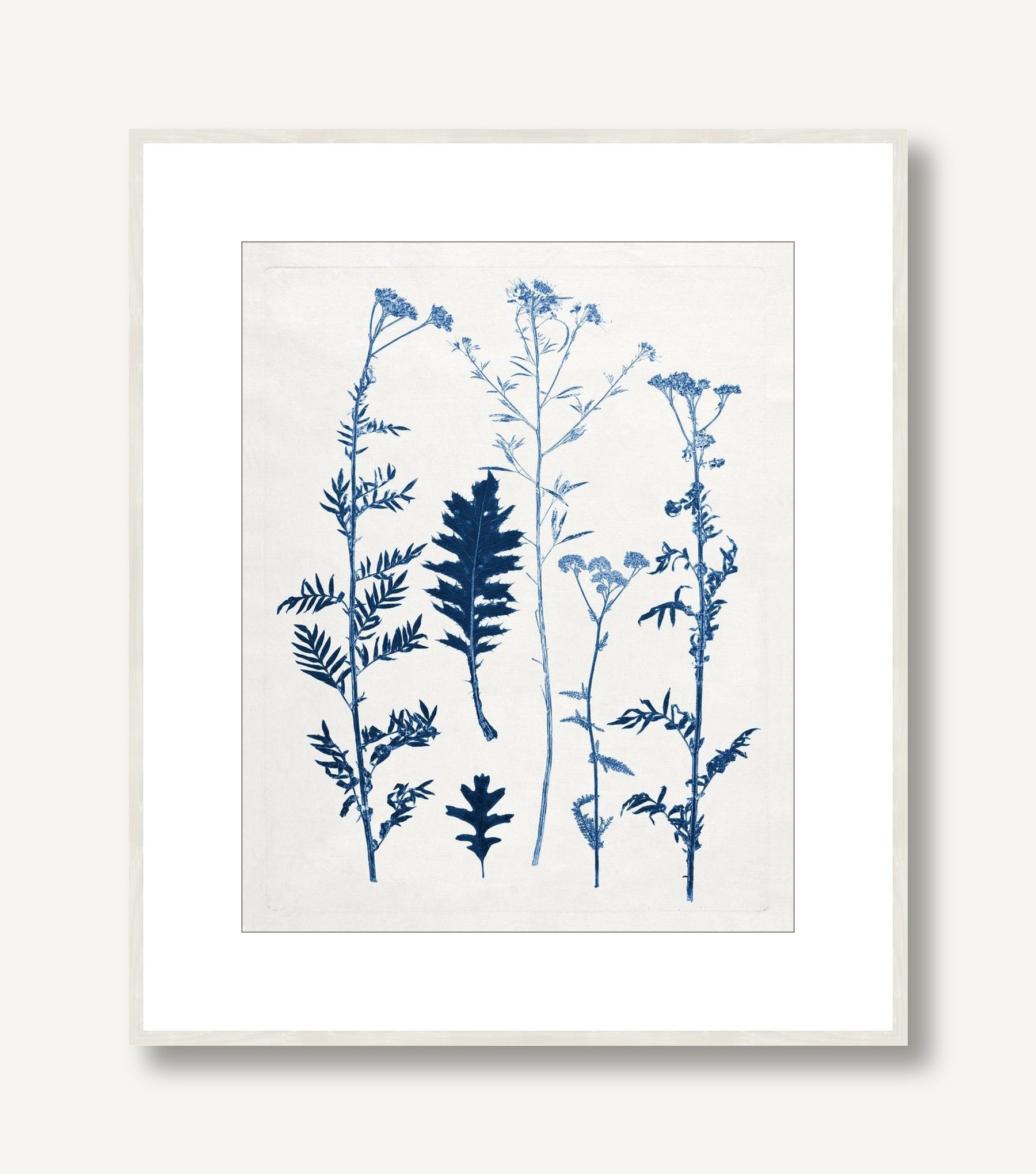 Blue Botanical Study 7 framed