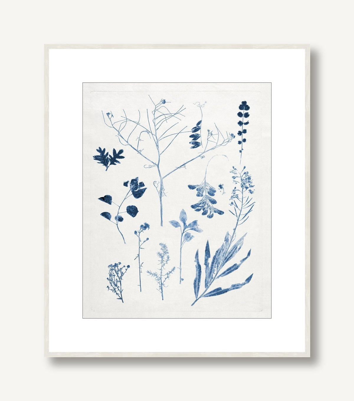 Blue Botanical Study 9 framed