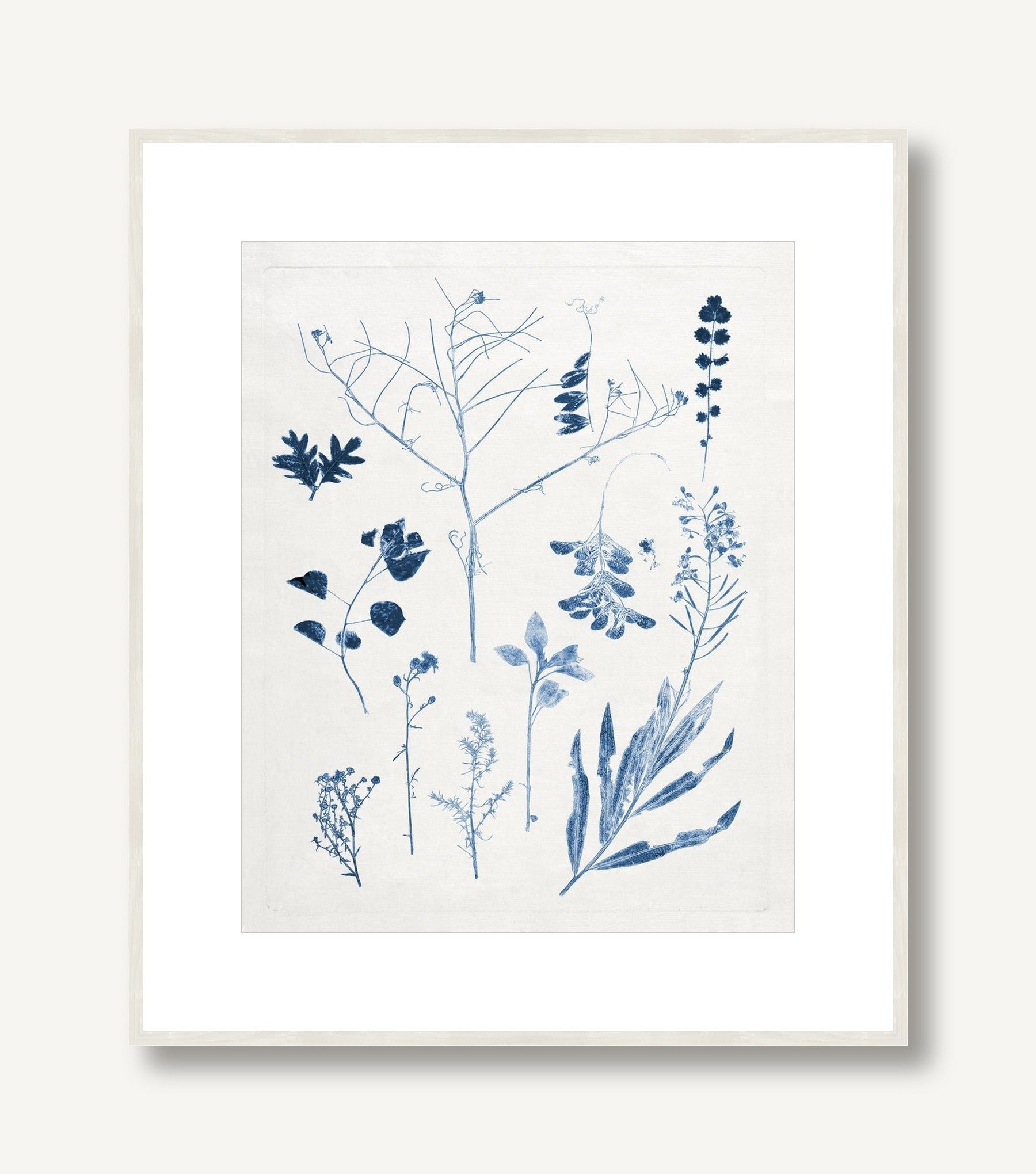 Blue Botanical Study 9 framed
