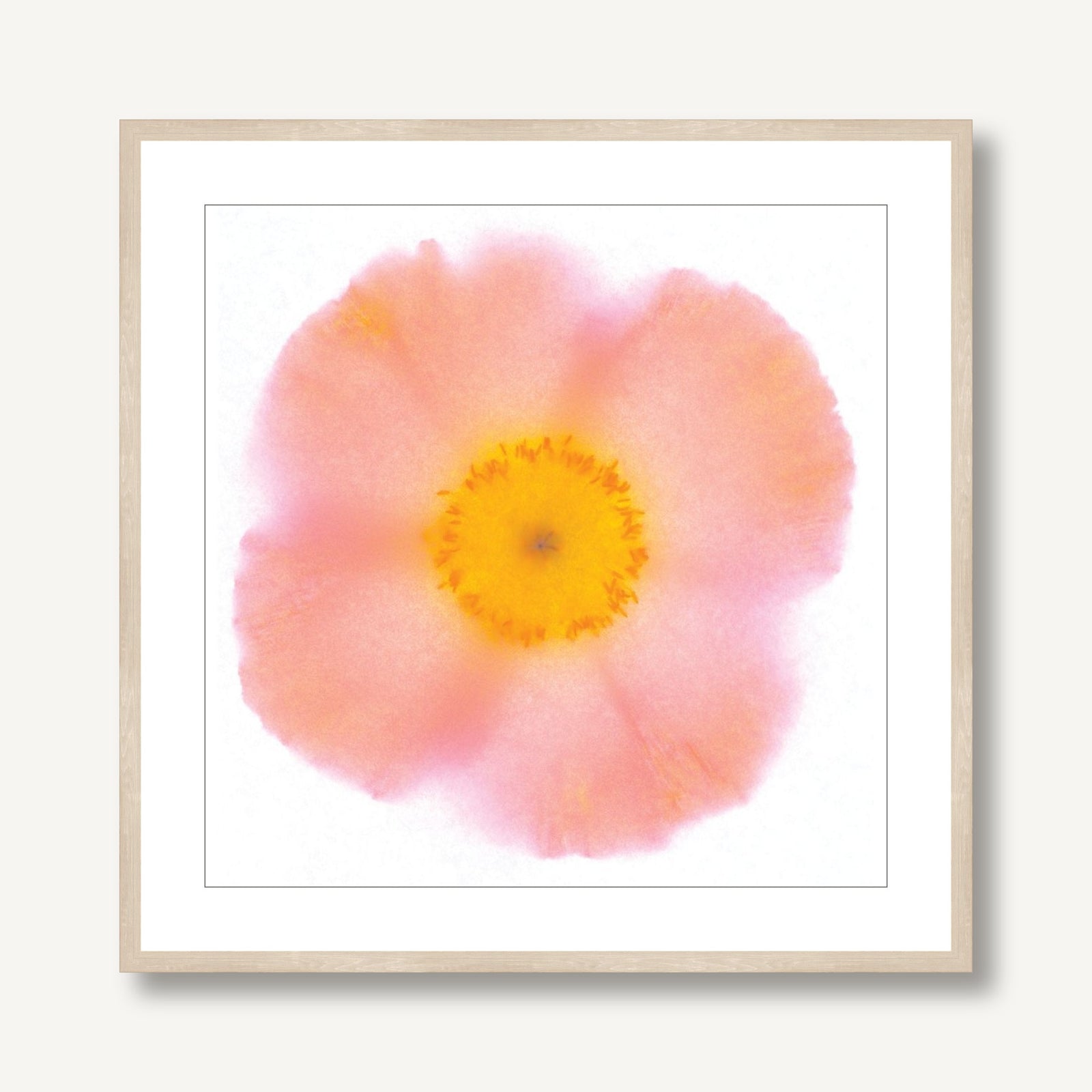 Poppy 4 framed