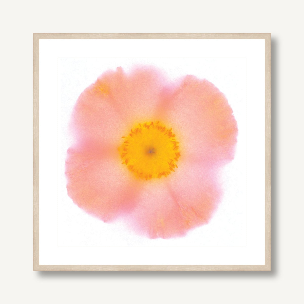 Poppy 4 framed