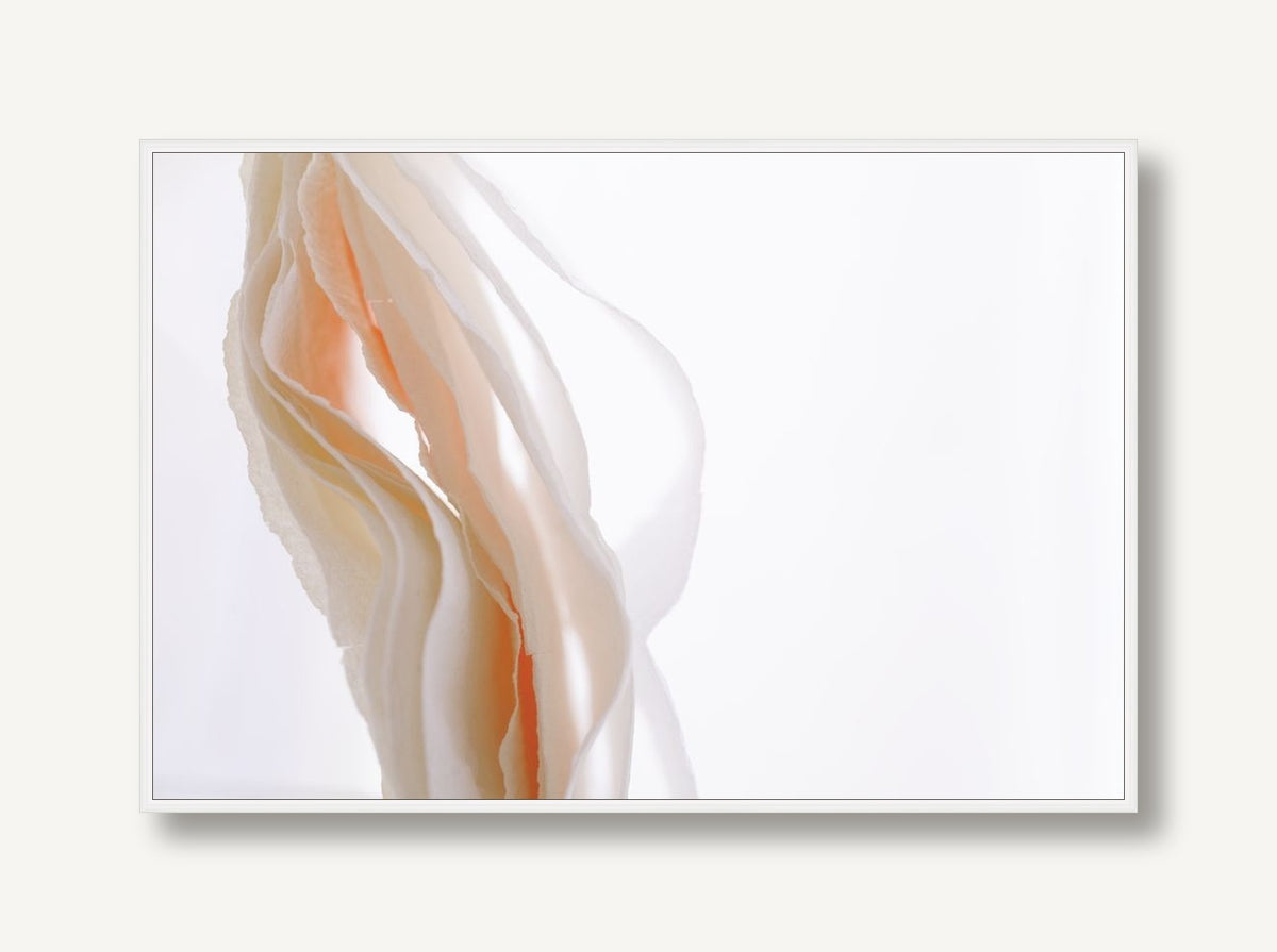 Sinuous Splendor 1 framed