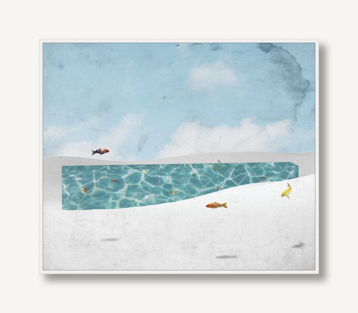 Fish Out of Water 1 framed
