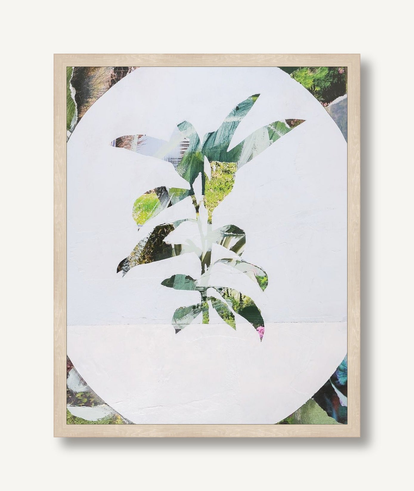 Botanic Vignette 1 framed