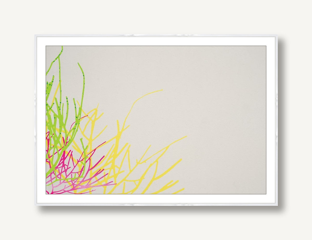 Coral Garden 1 framed