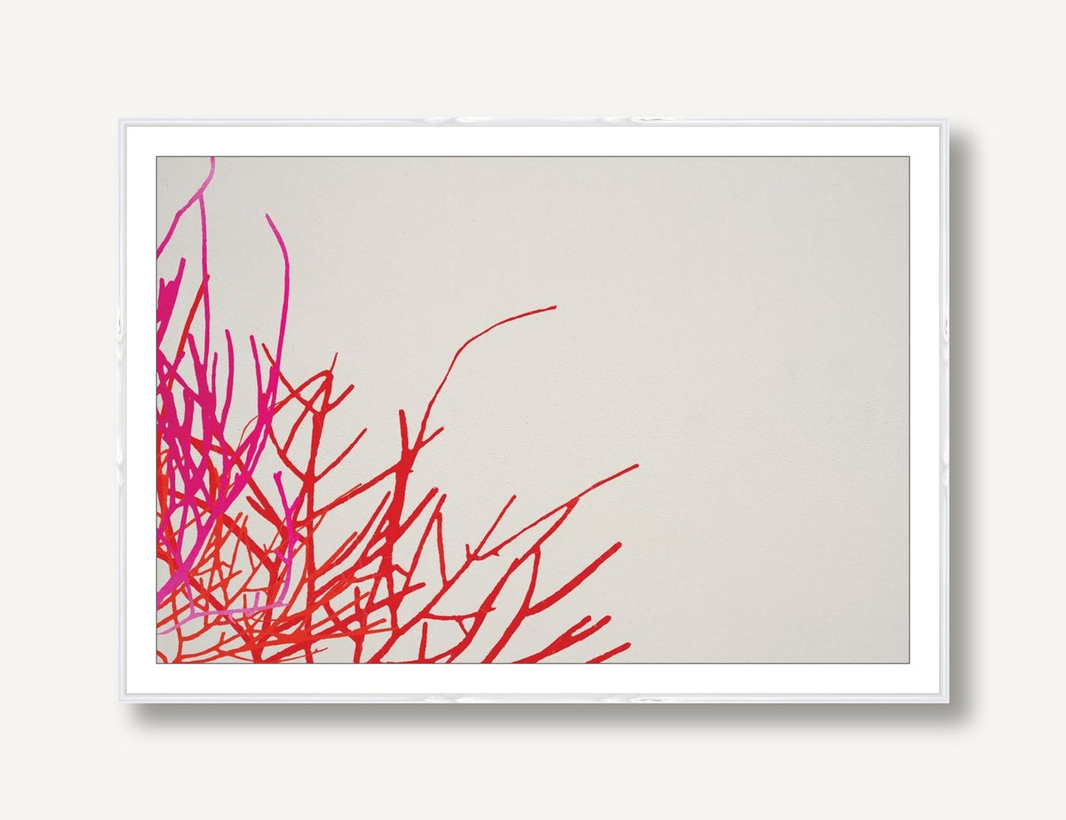 Coral Garden 2 framed