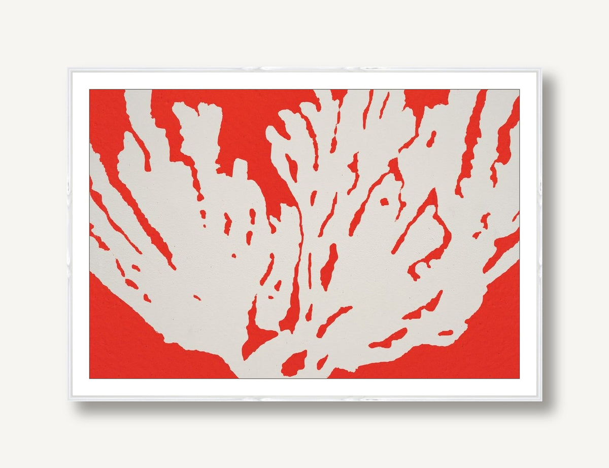Coral 4 framed