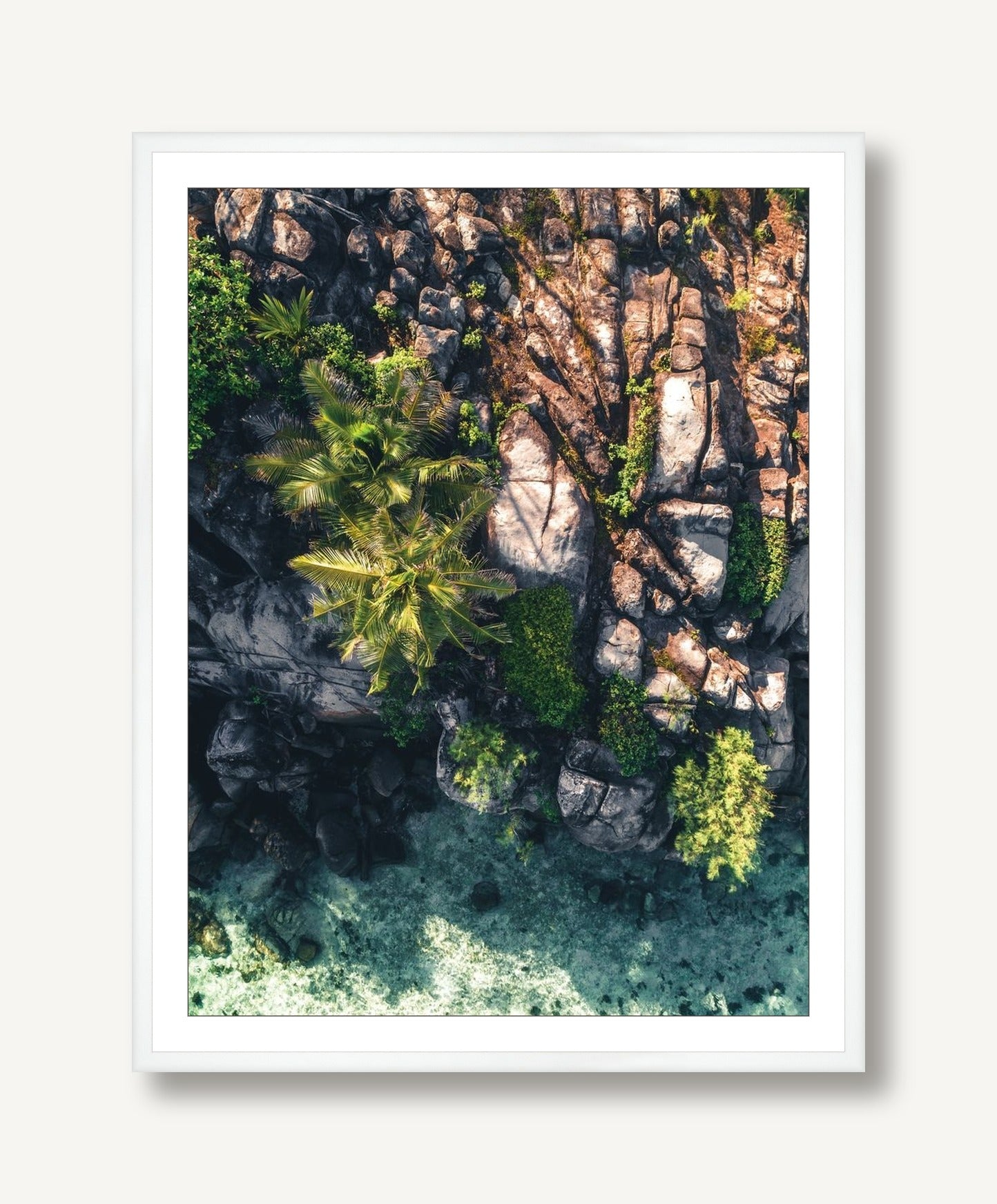 Endangered Paradise 1 framed
