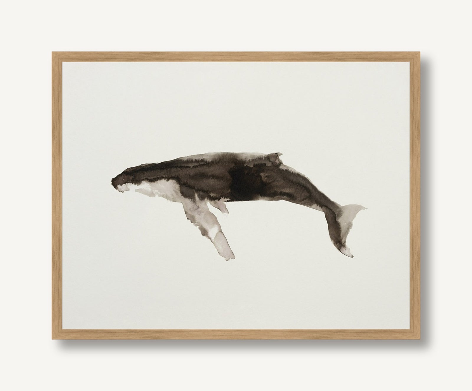 Ocean Creatures 2 framed