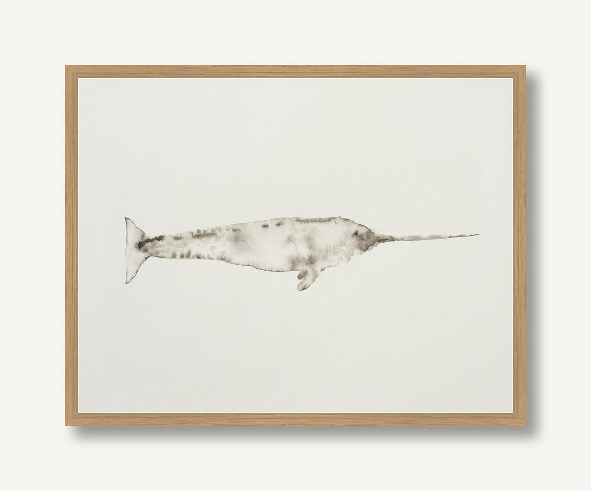 Ocean Creatures 3 framed