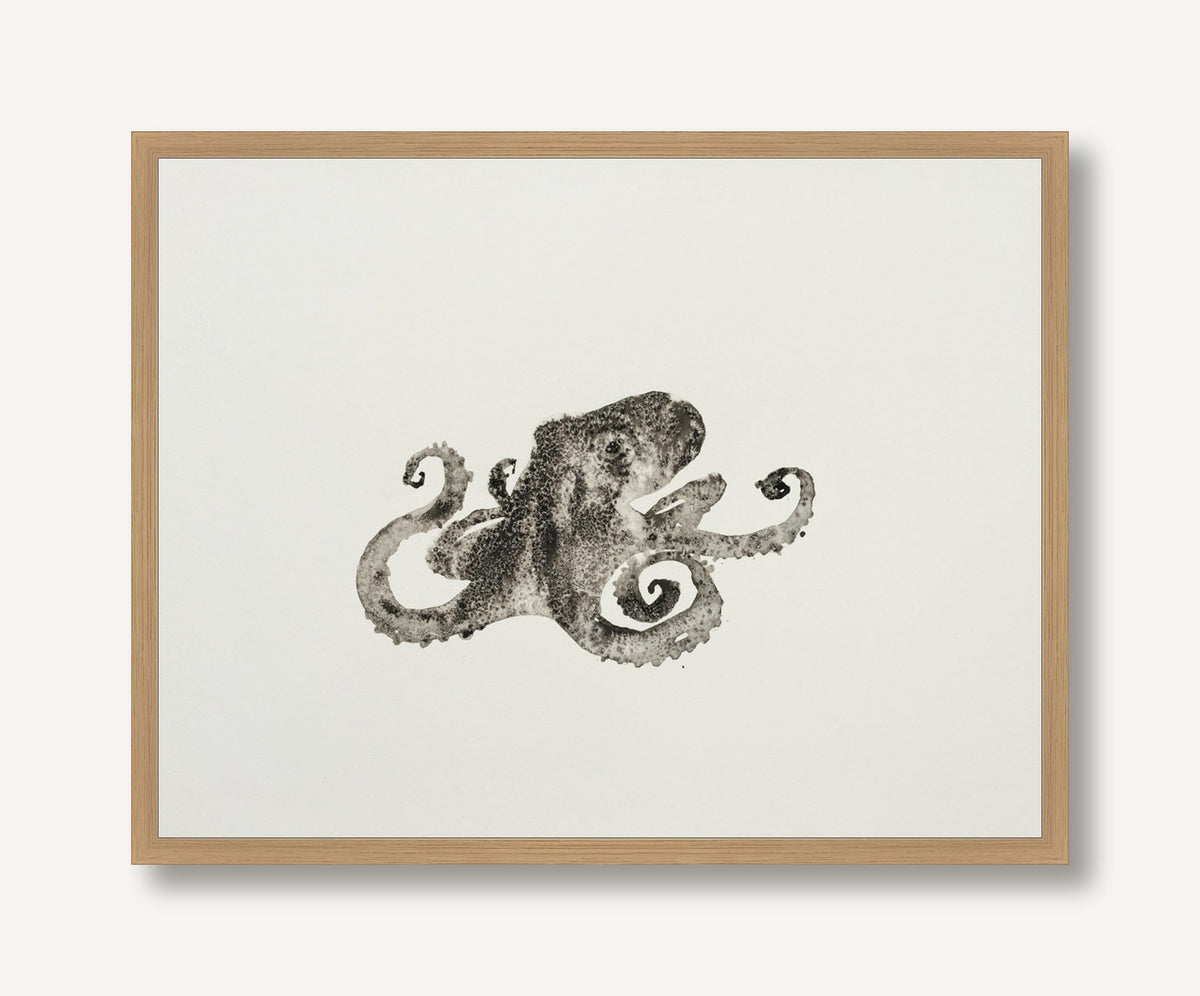 Ocean Creatures 4 framed