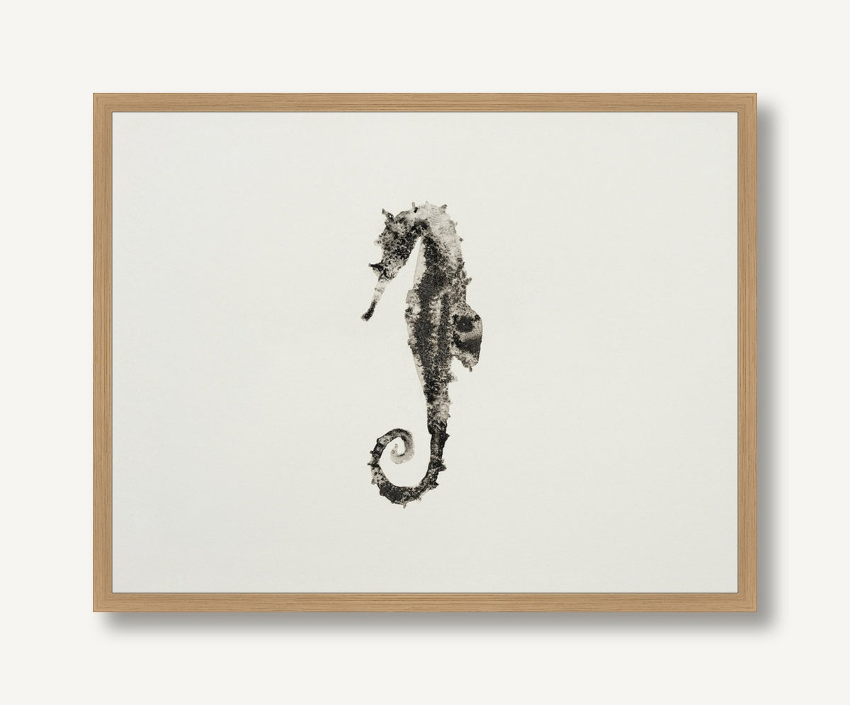 Ocean Creatures 5 framed