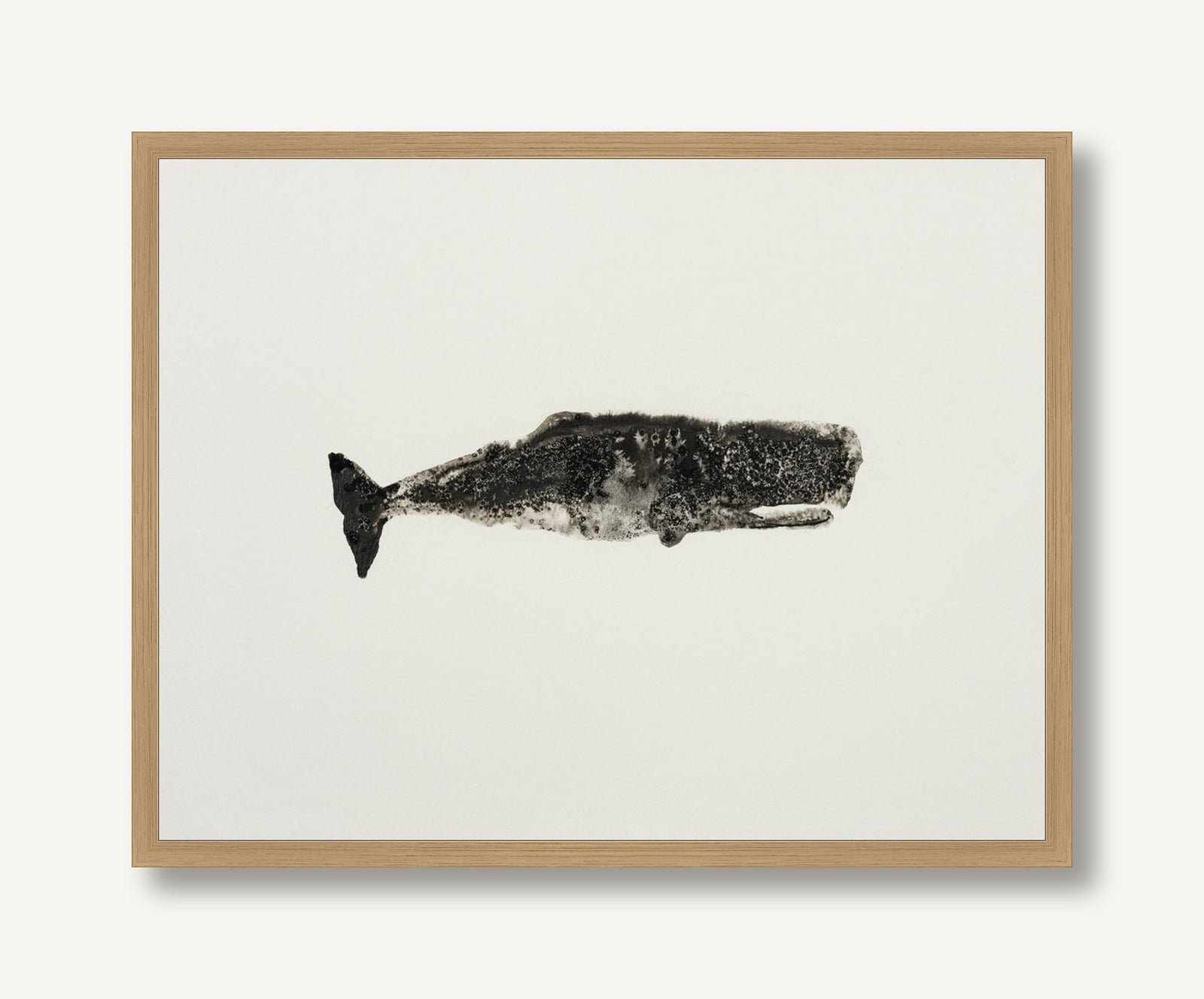 Ocean Creatures 7 framed