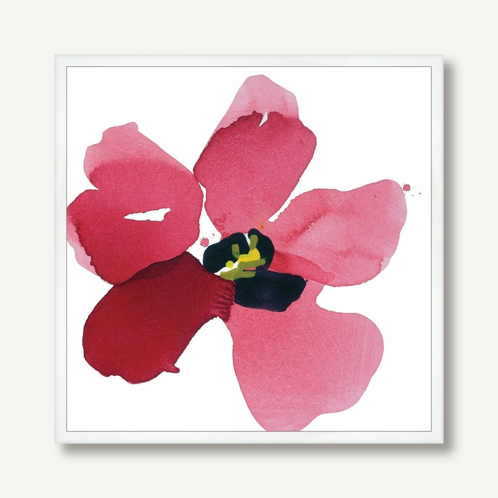 Poppy Dream 2 framed