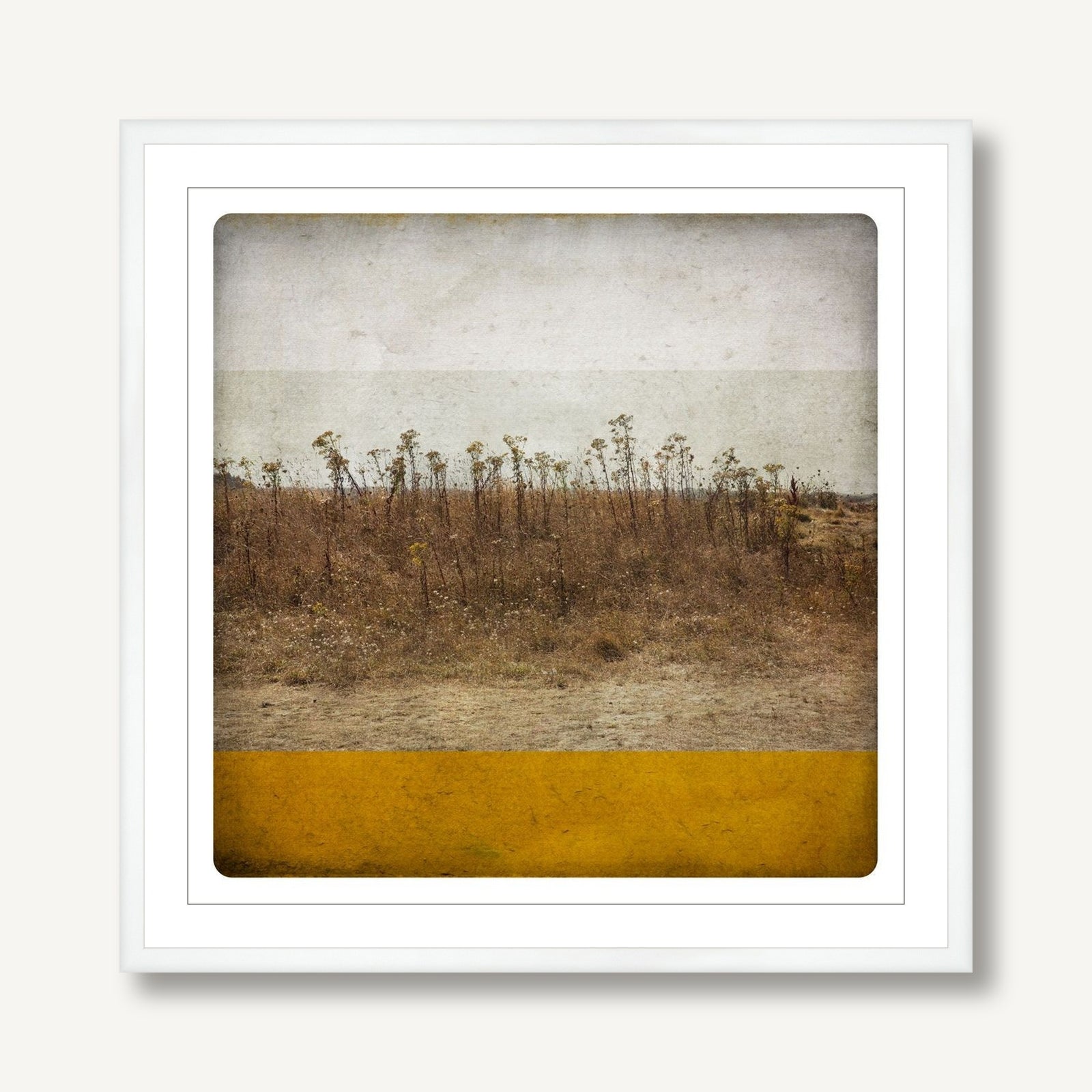 Ocre 1 framed