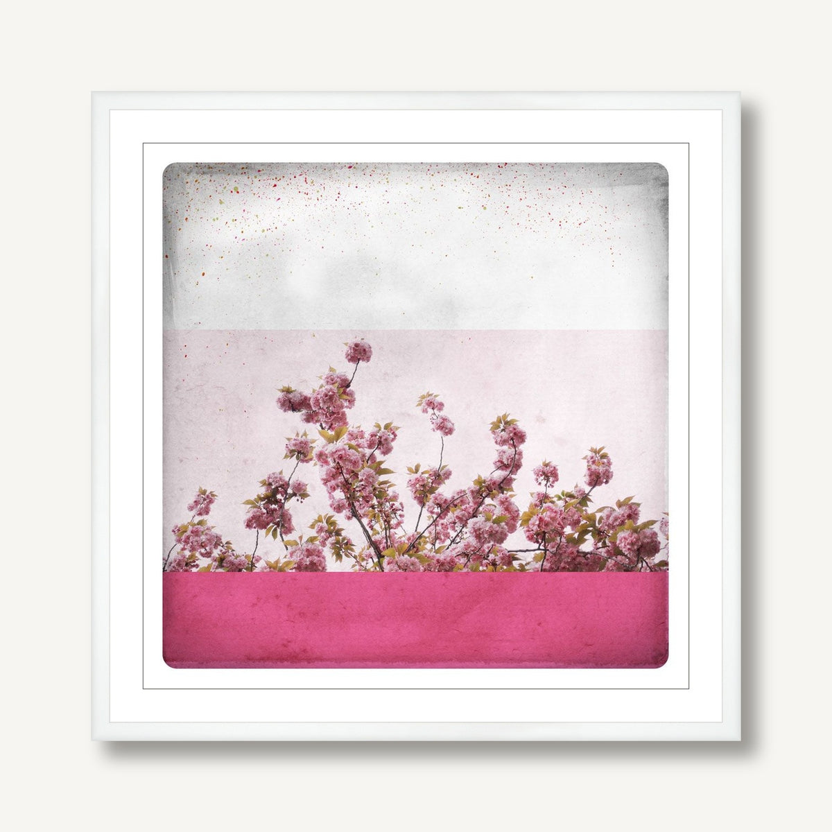 Rose 1 framed