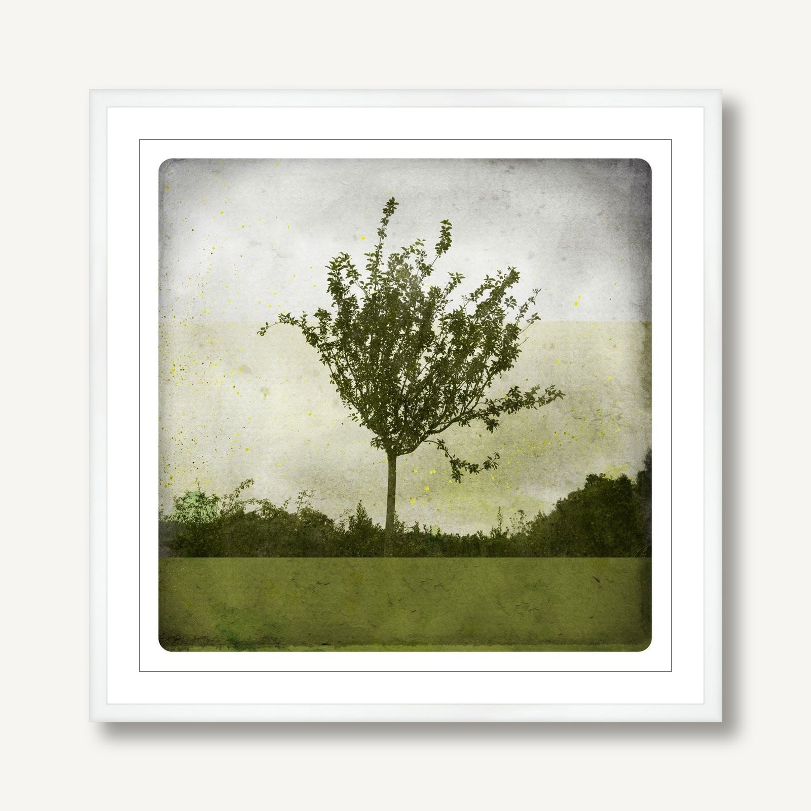 Verdure 1 framed