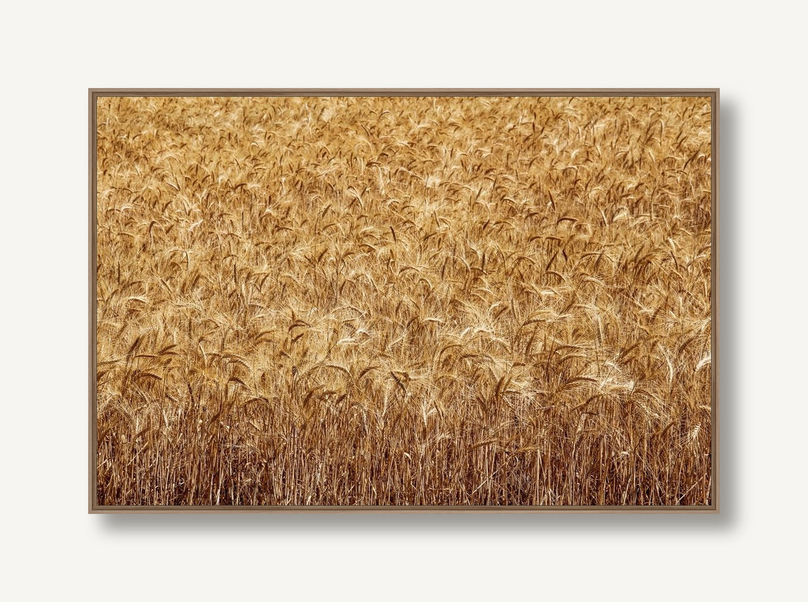 Deep Seeded 1 framed