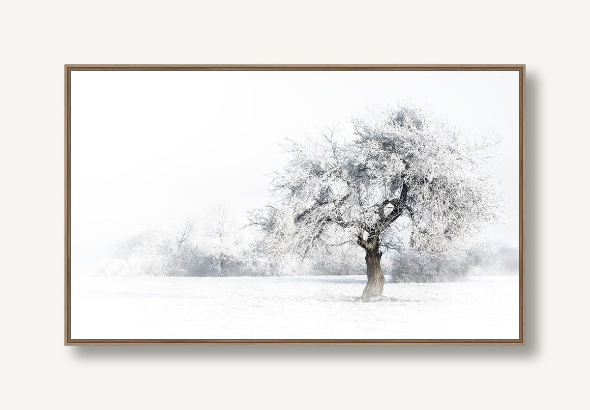 Frost Bound 1 framed