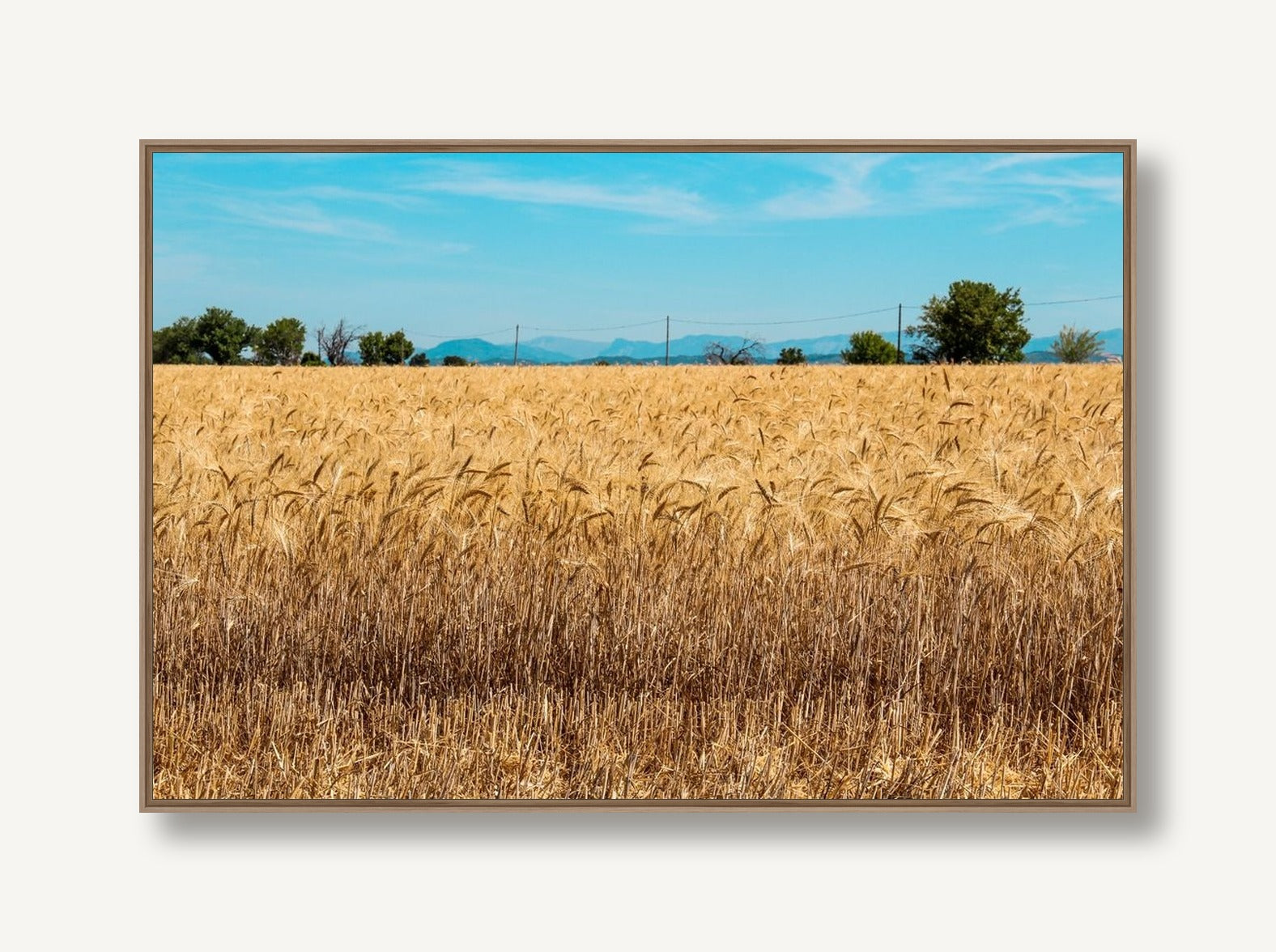 Land of the Free 2 framed