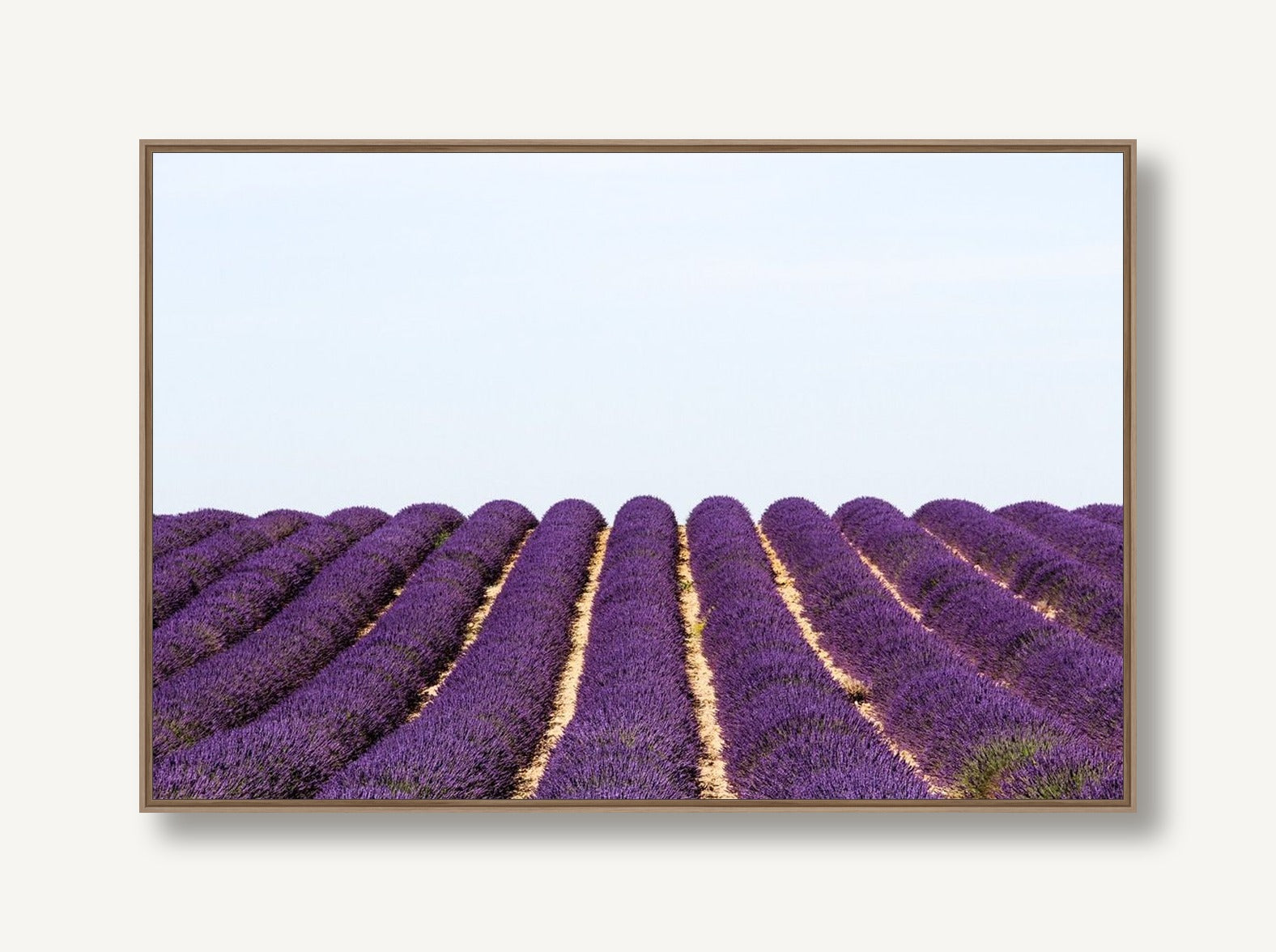 Lavish Rows 1 framed