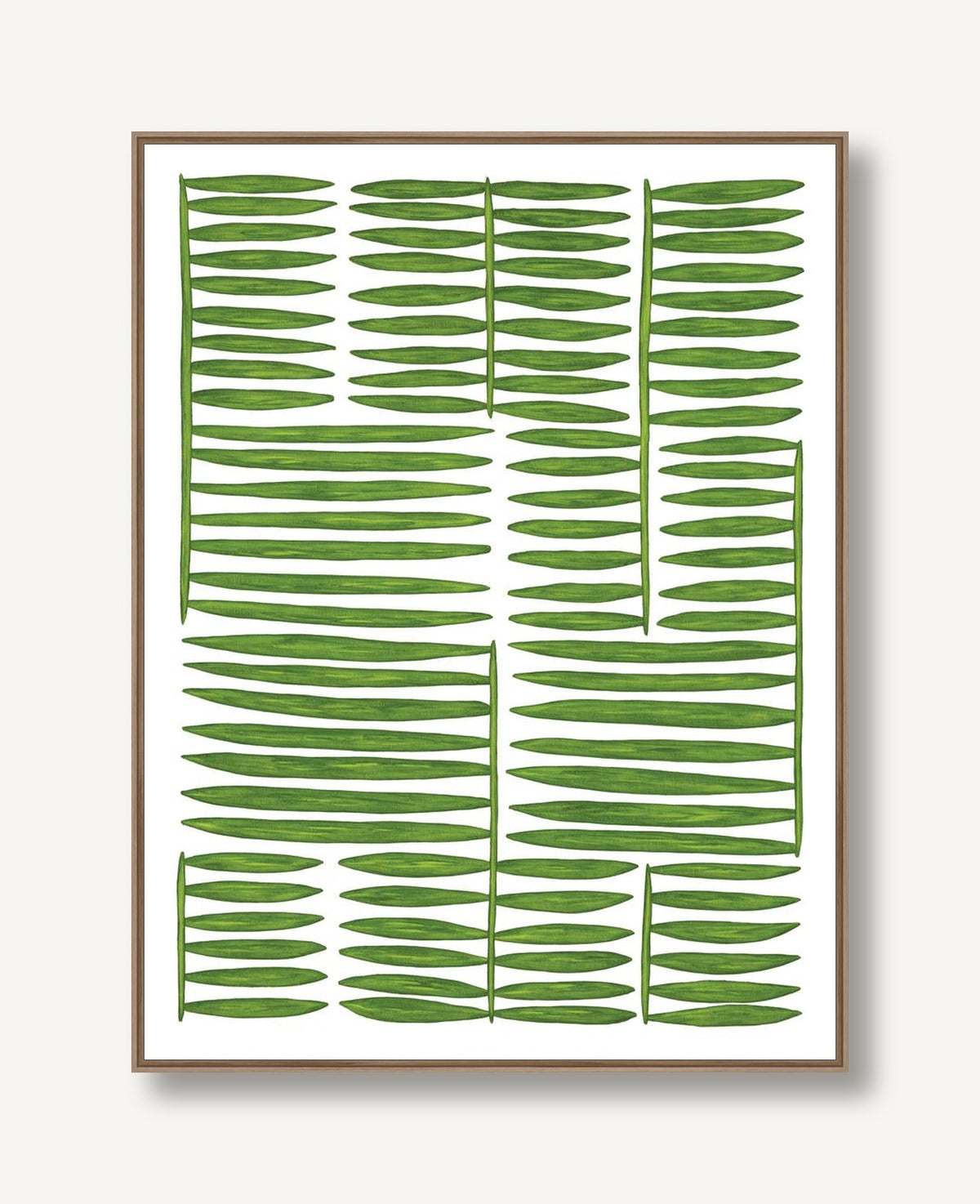 Botanicus Ordinibus 1 framed