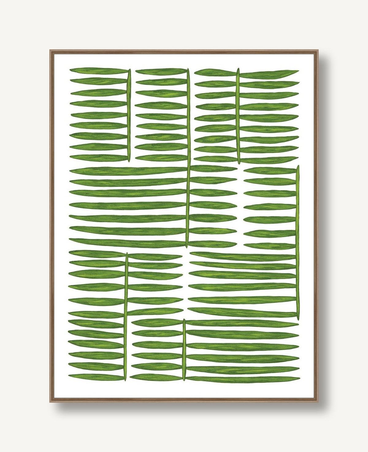 Botanicus Ordinibus 2 framed