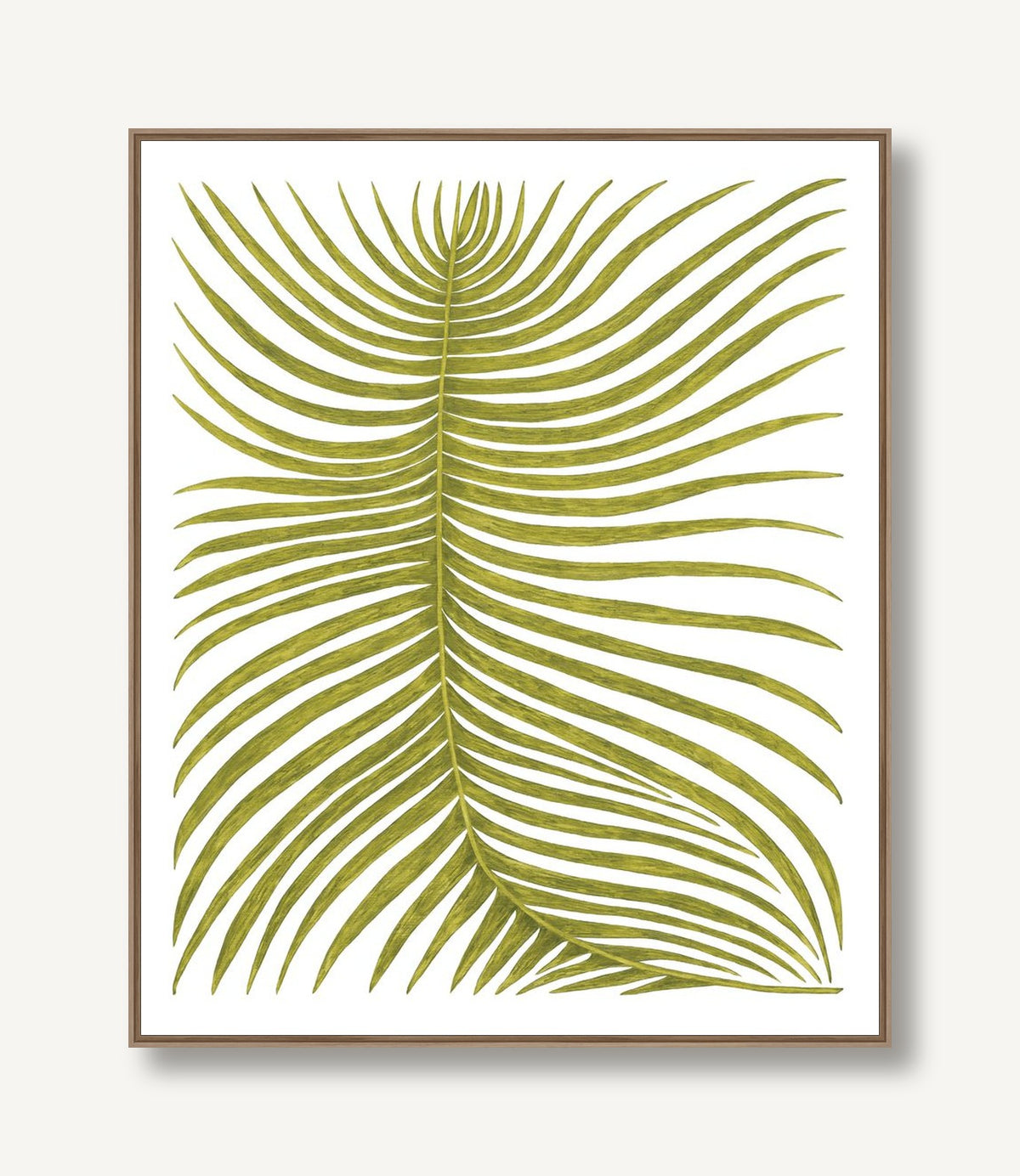 Botanicus Duo 1 framed