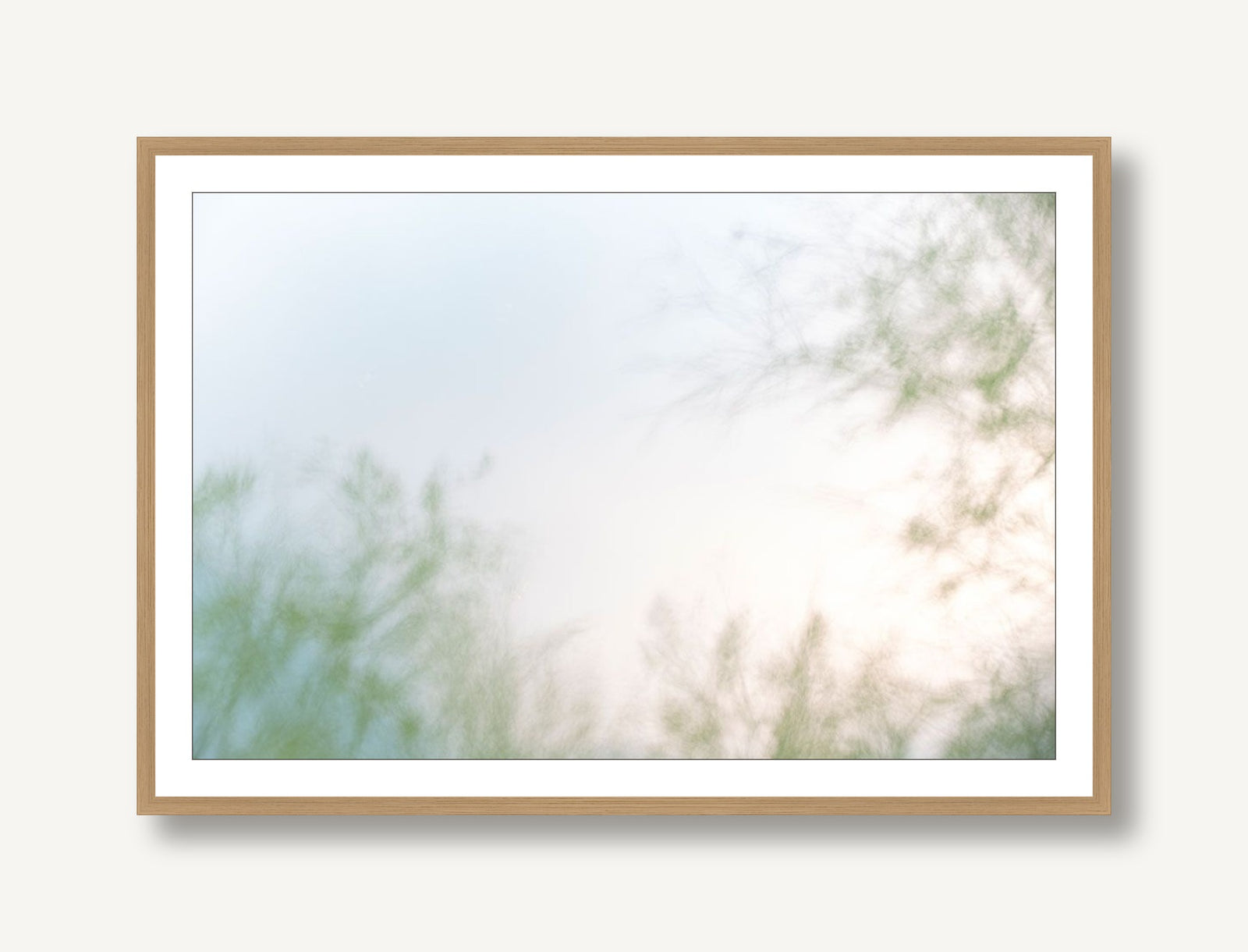 Natures Dream 1 framed