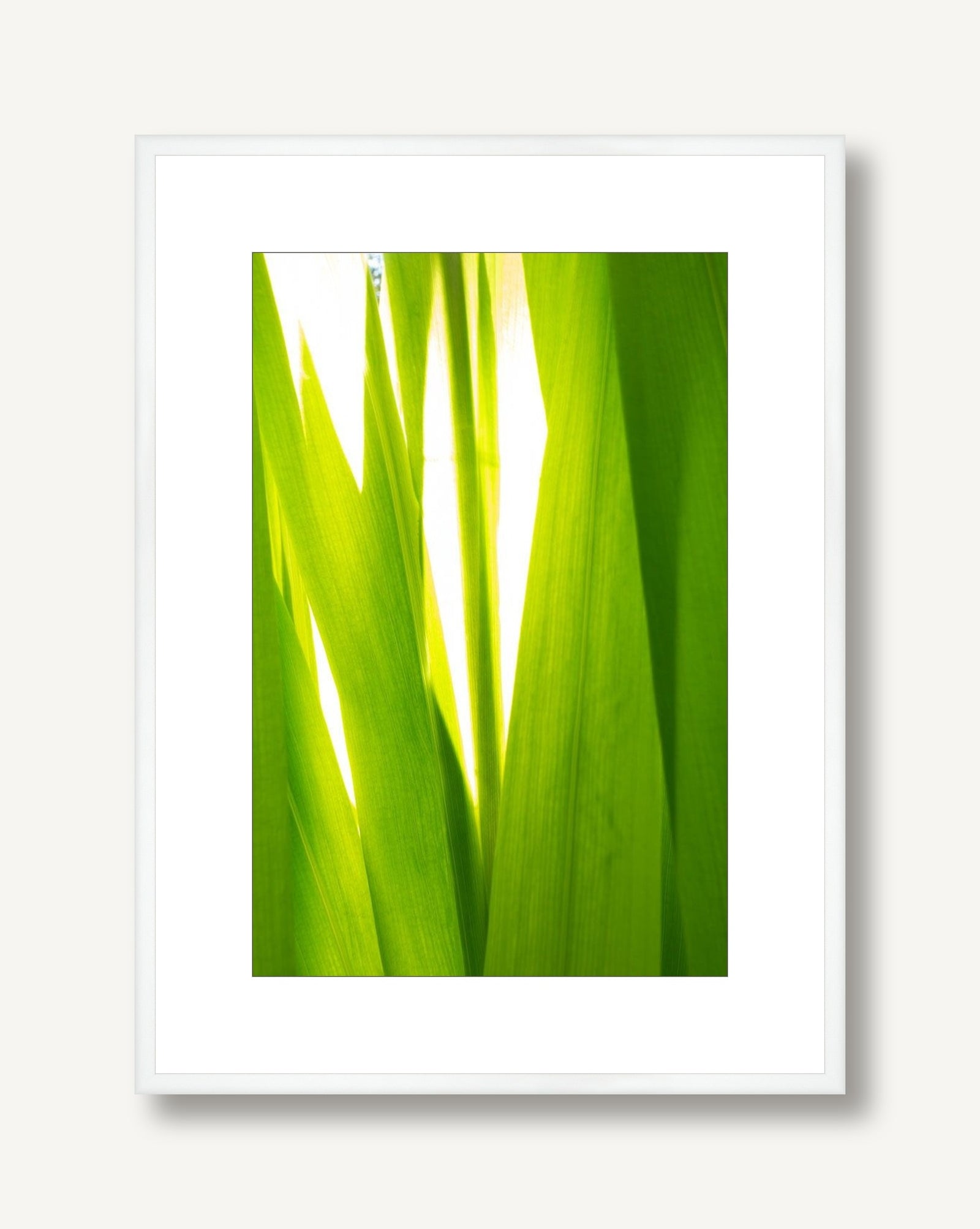 Sunkissed 1 framed