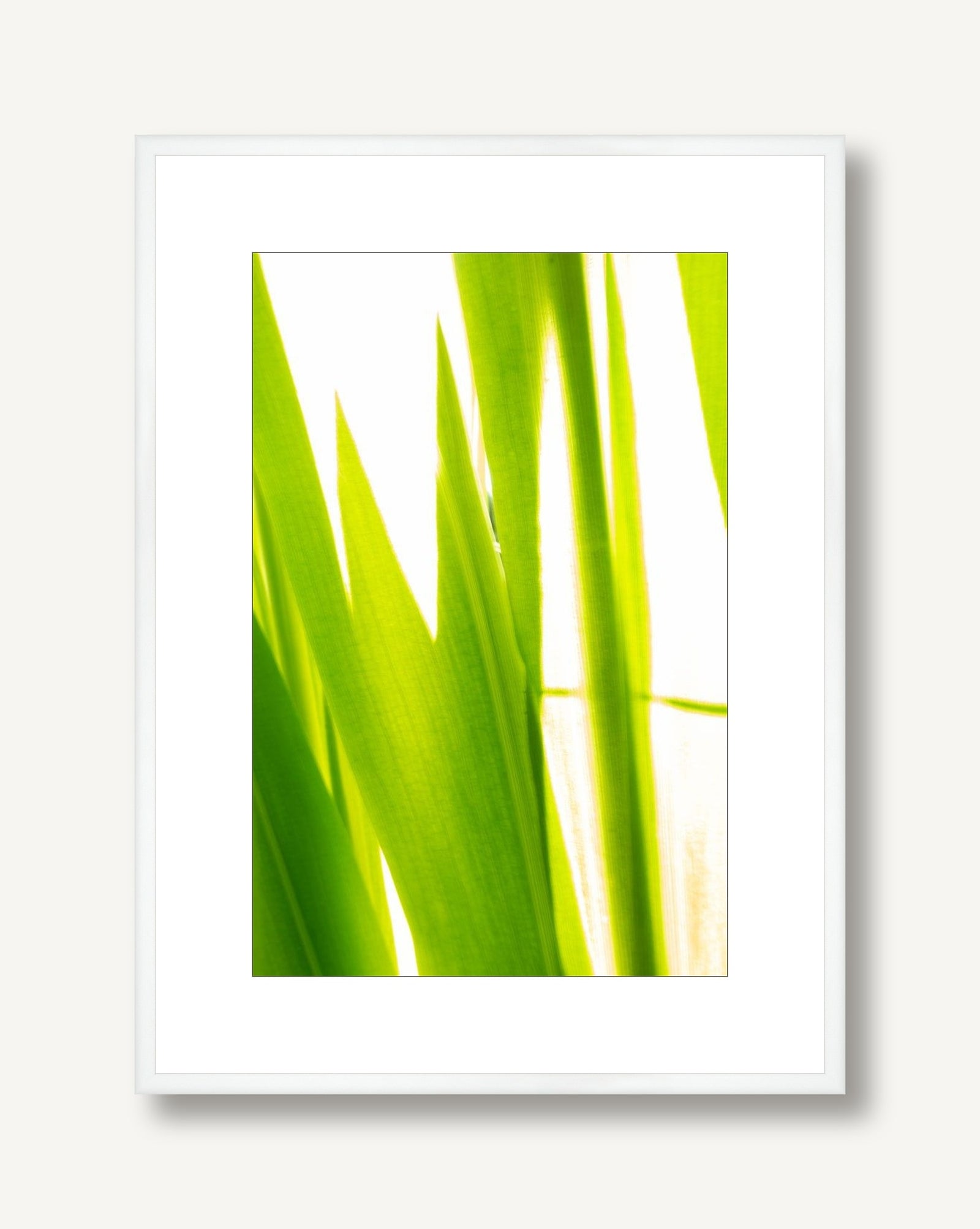 Sunkissed 3 framed