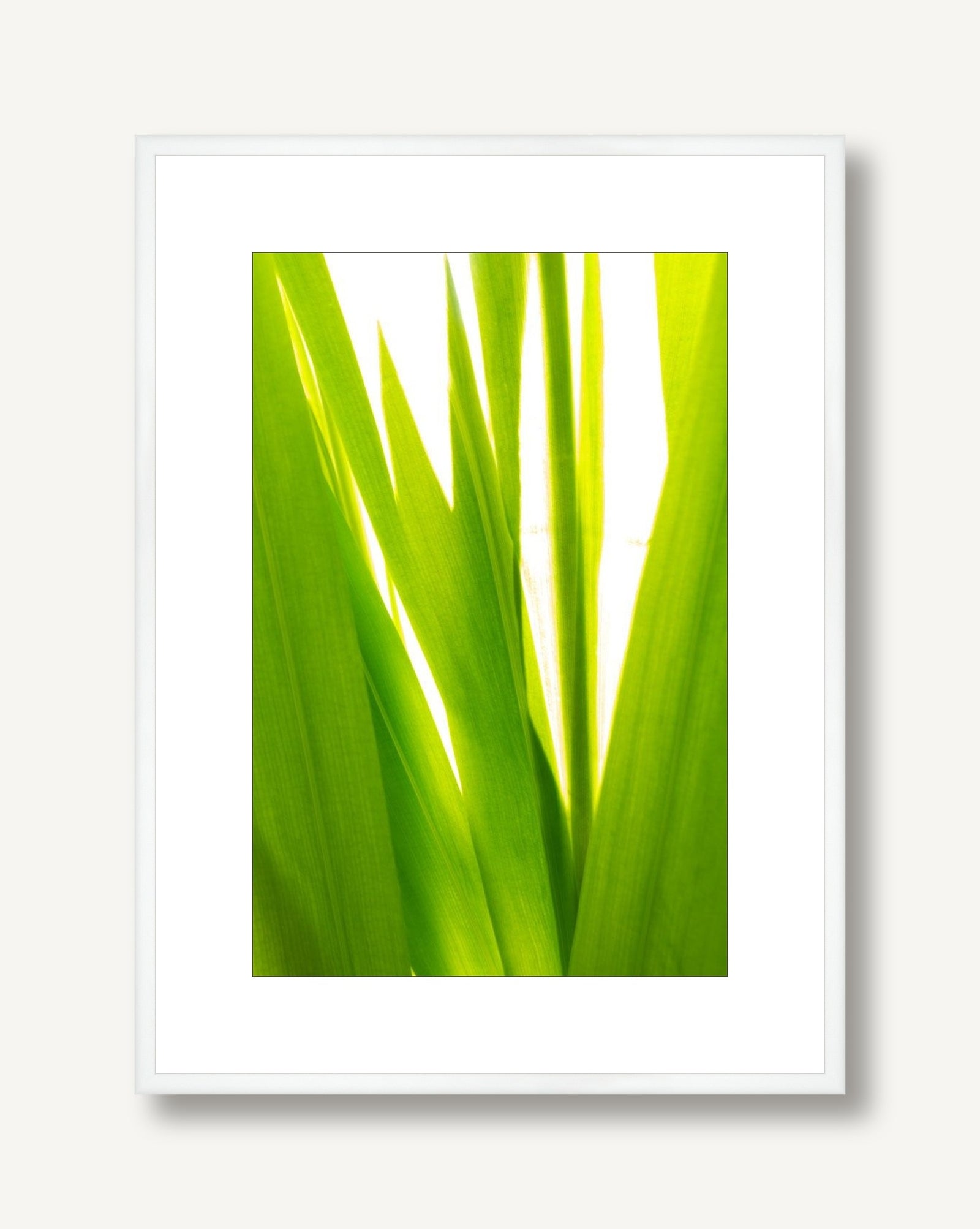 Sunkissed 4 framed