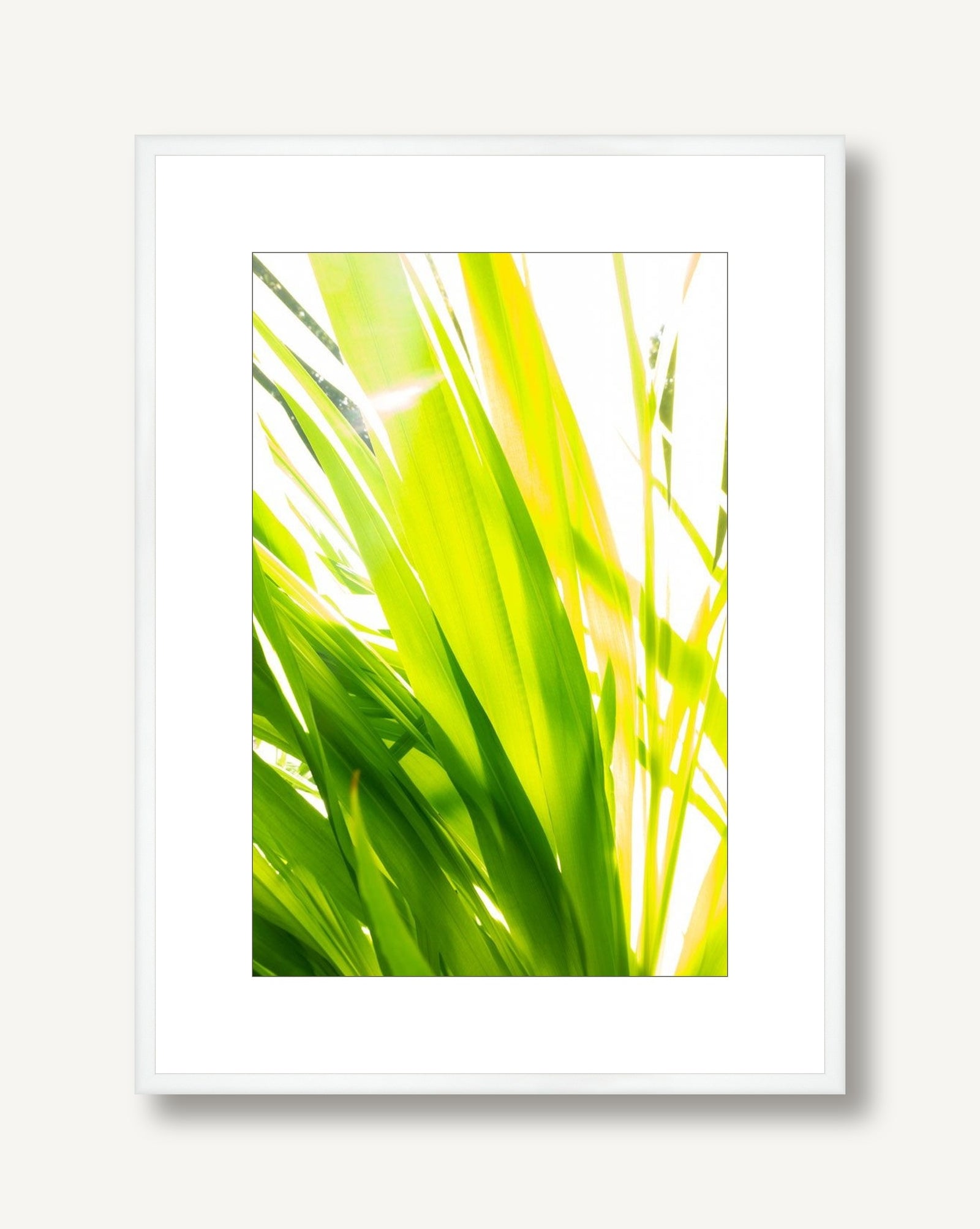 Sunkissed 6 framed