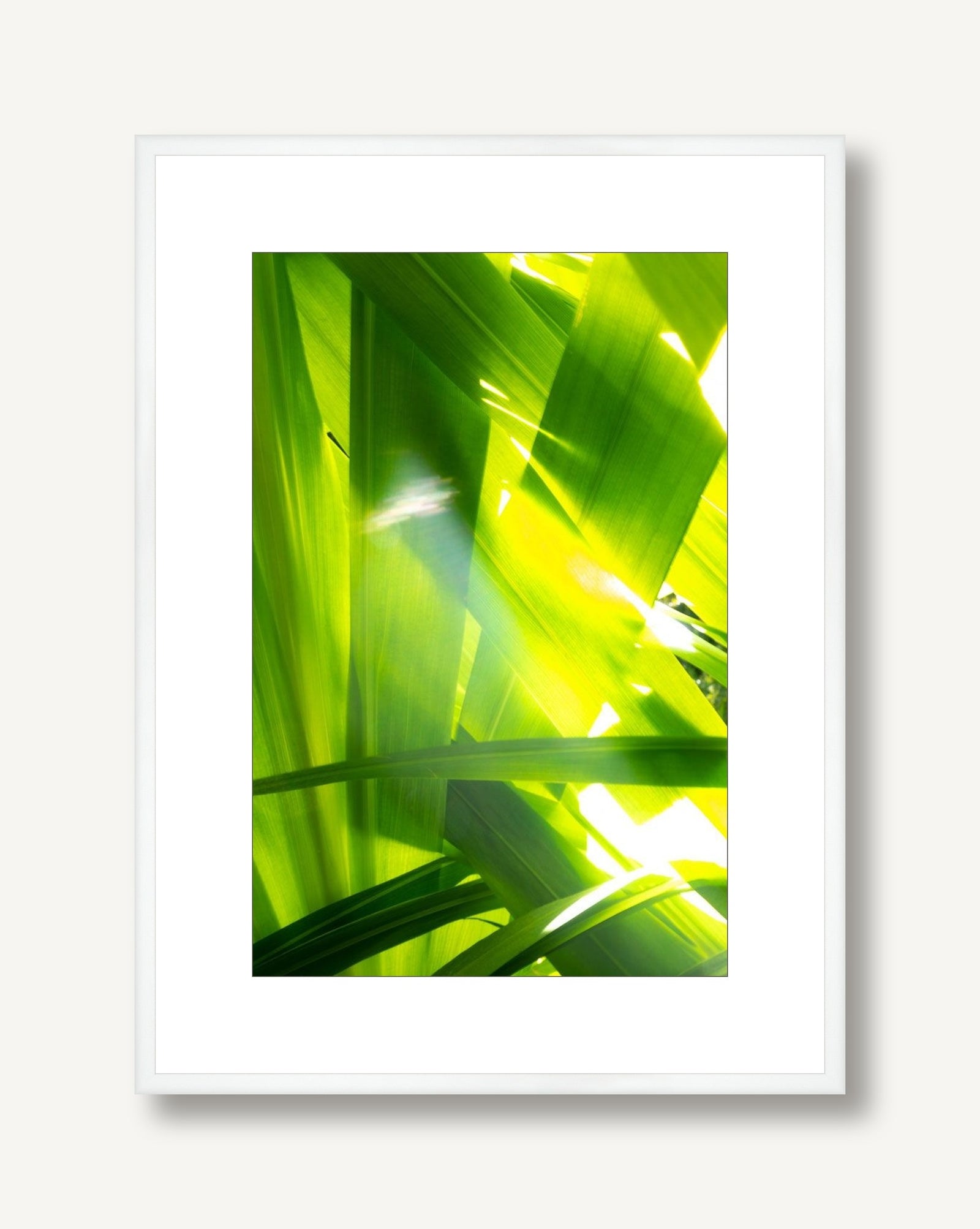 Sunkissed 7 framed