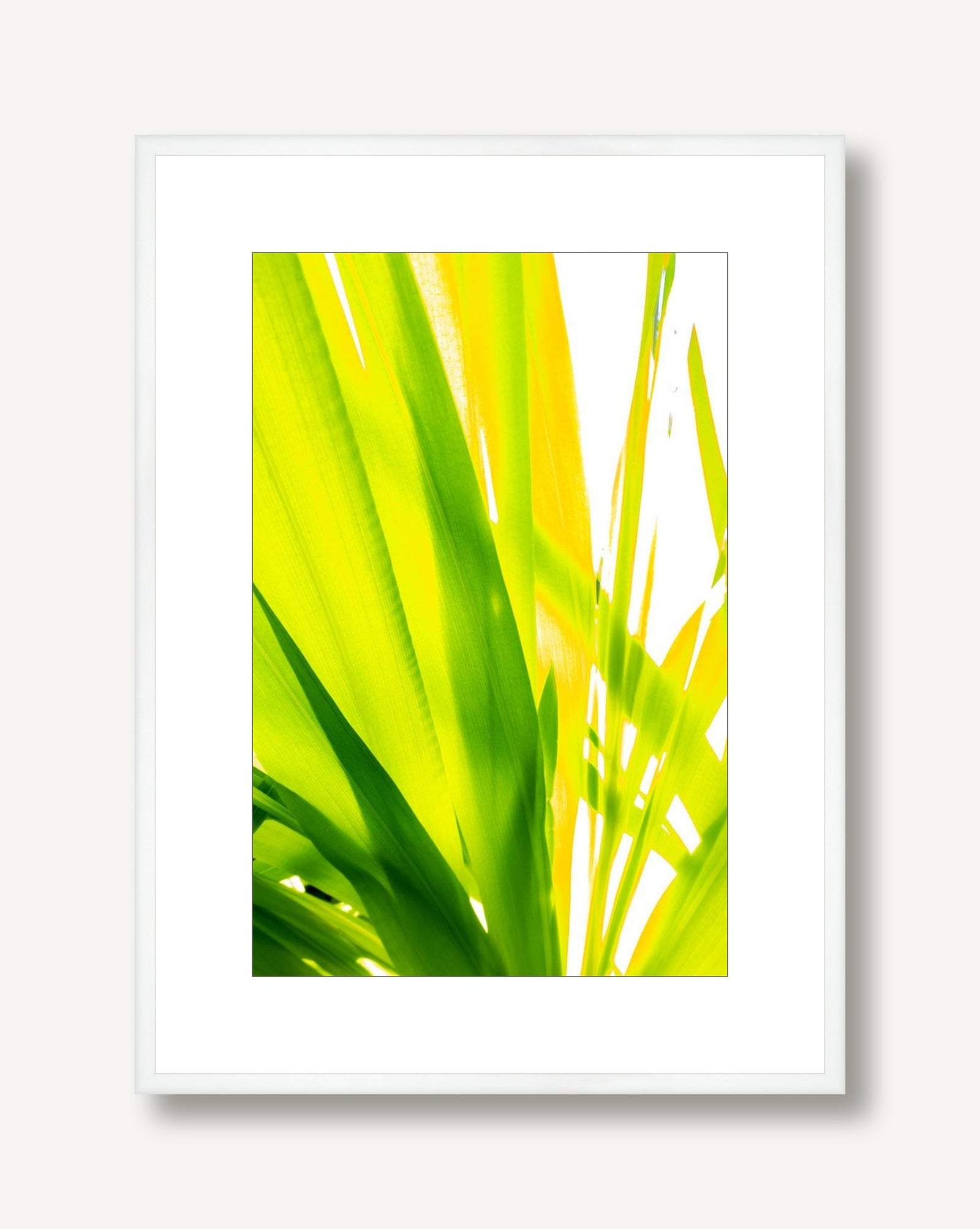 Sunkissed 8 framed