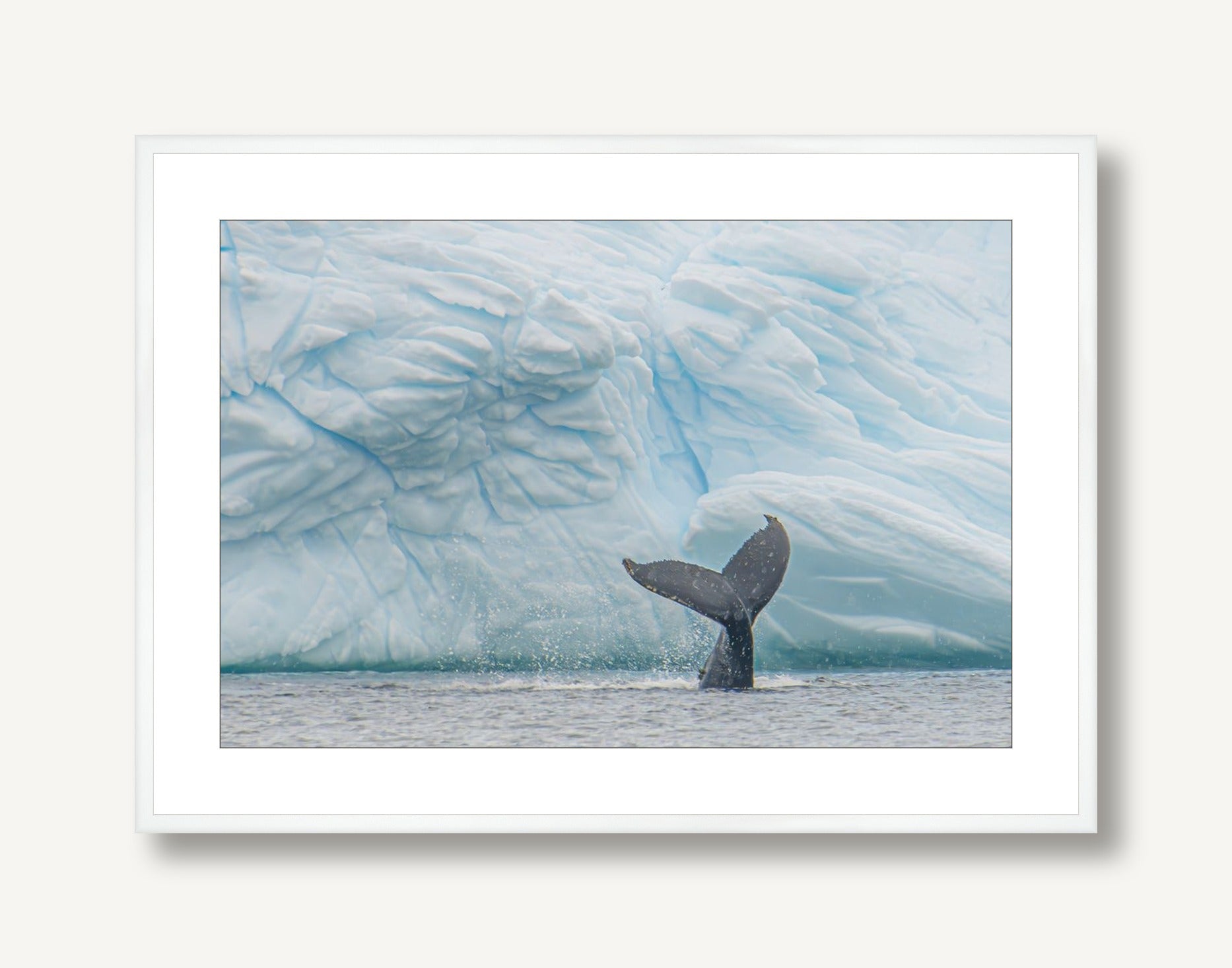 Antarctica Whale Fin 2 framed