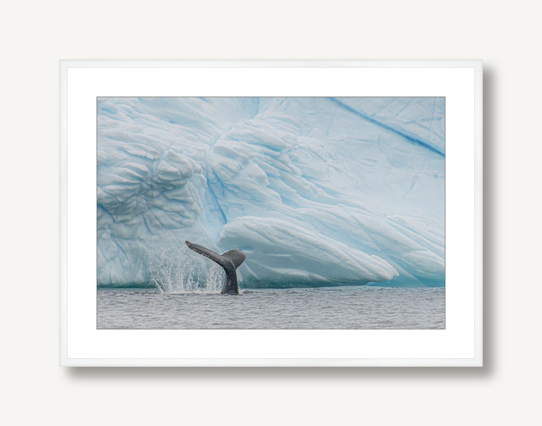 Antarctica Whale Fin 3 framed