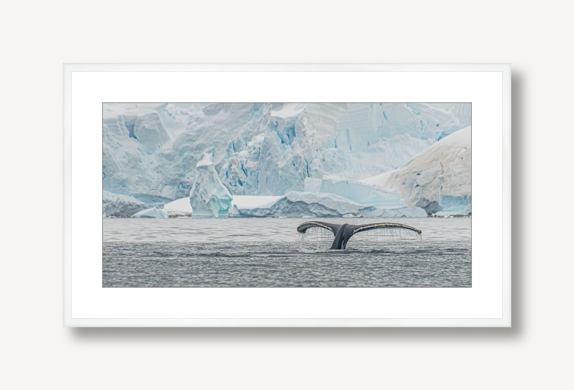 Antartica Watch 1 framed