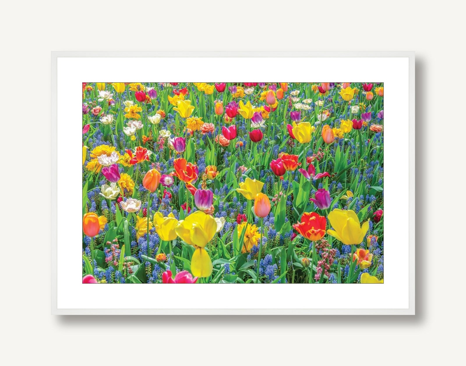 Tulips and Hyacinth 1 framed