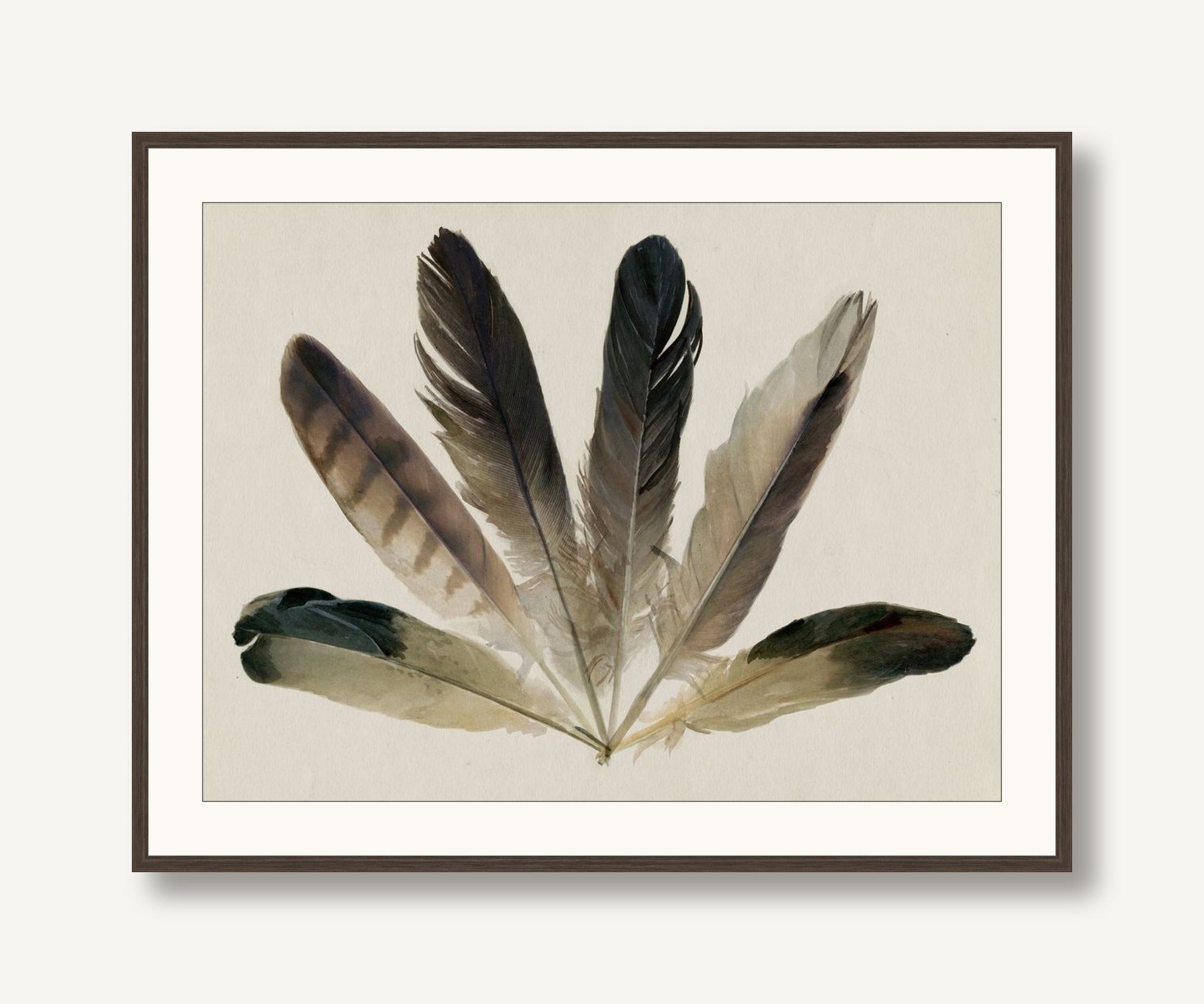 Feather Fan 1 framed
