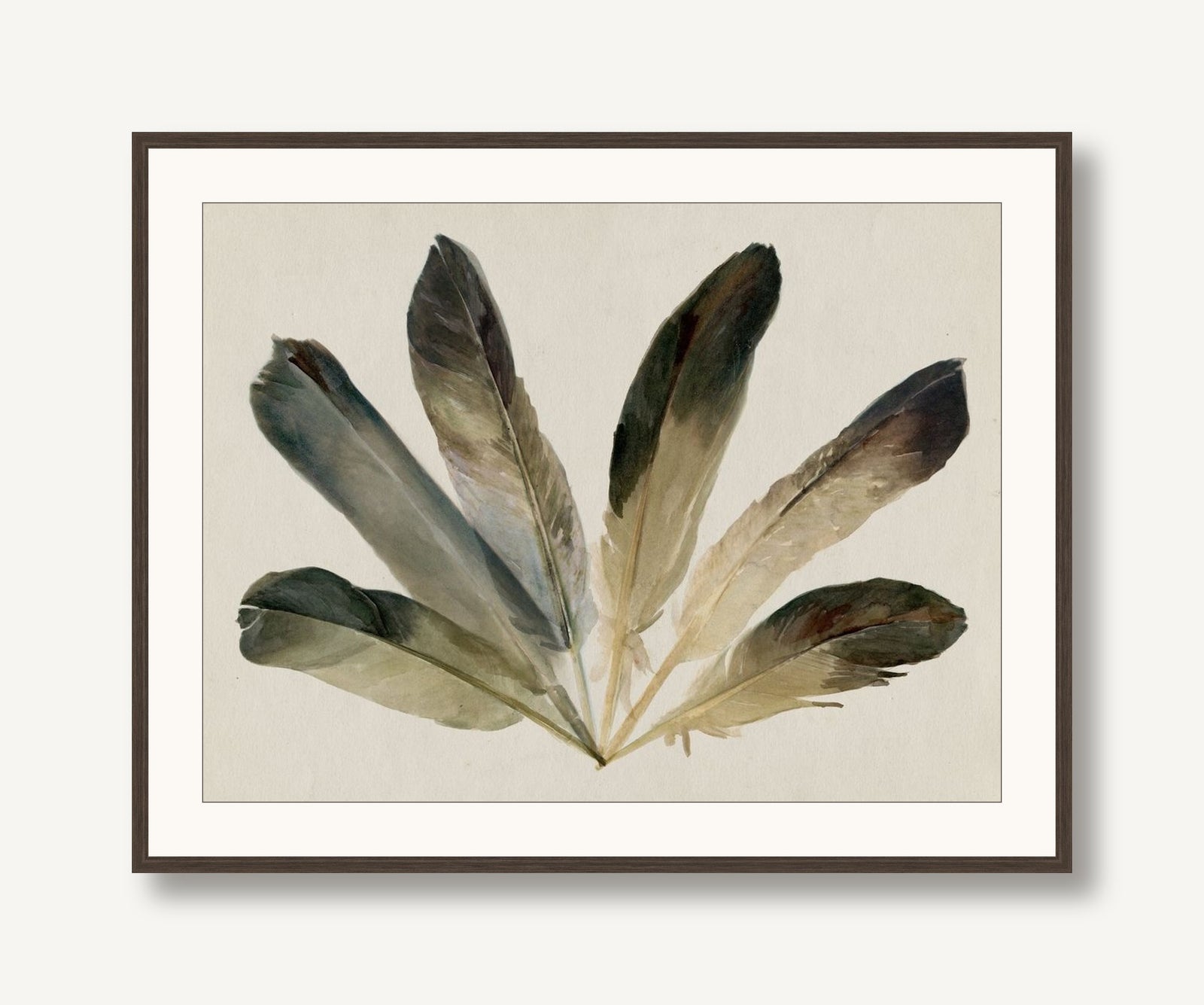 Feather Fan 2 framed