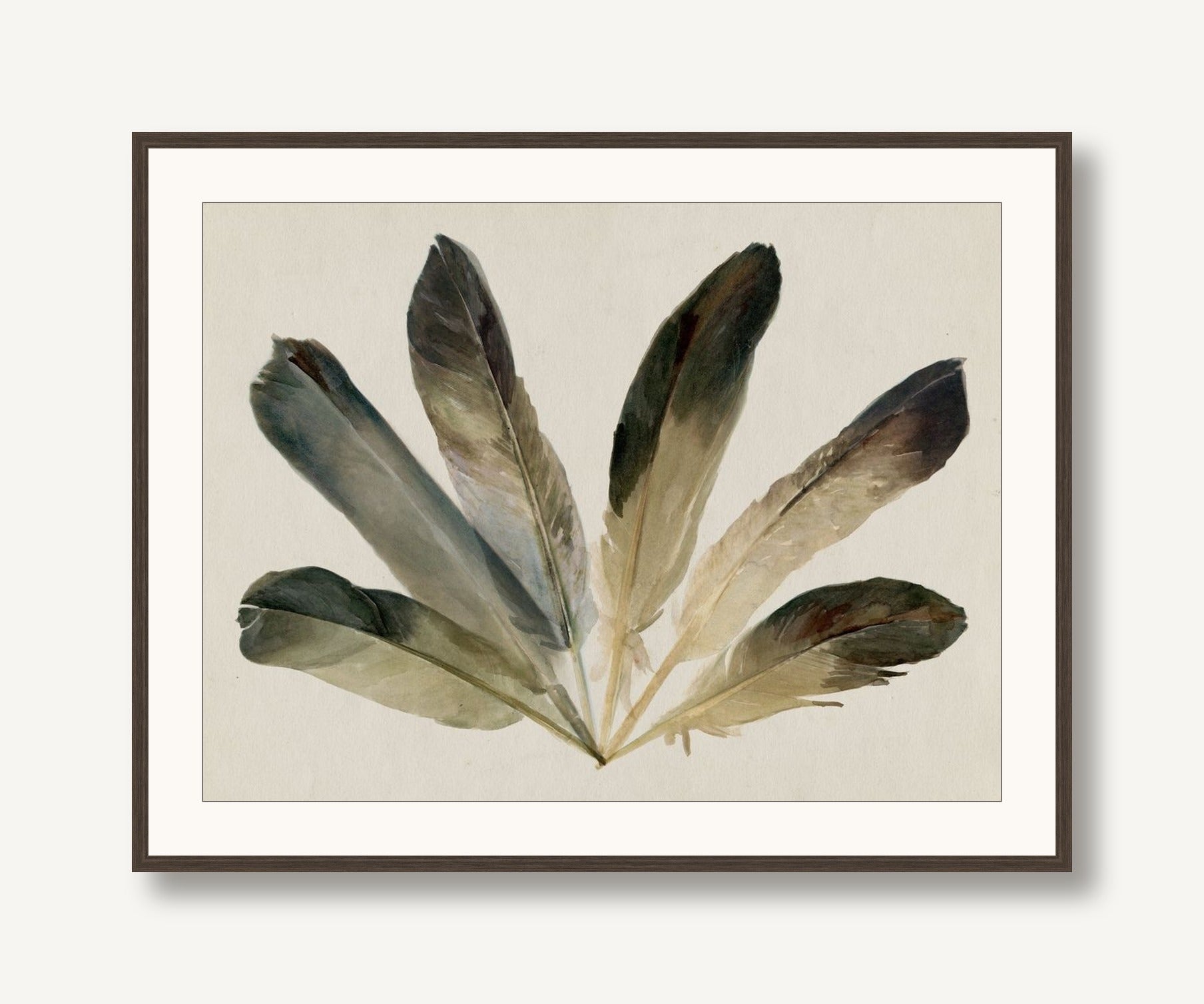 Feather Fan 2 framed